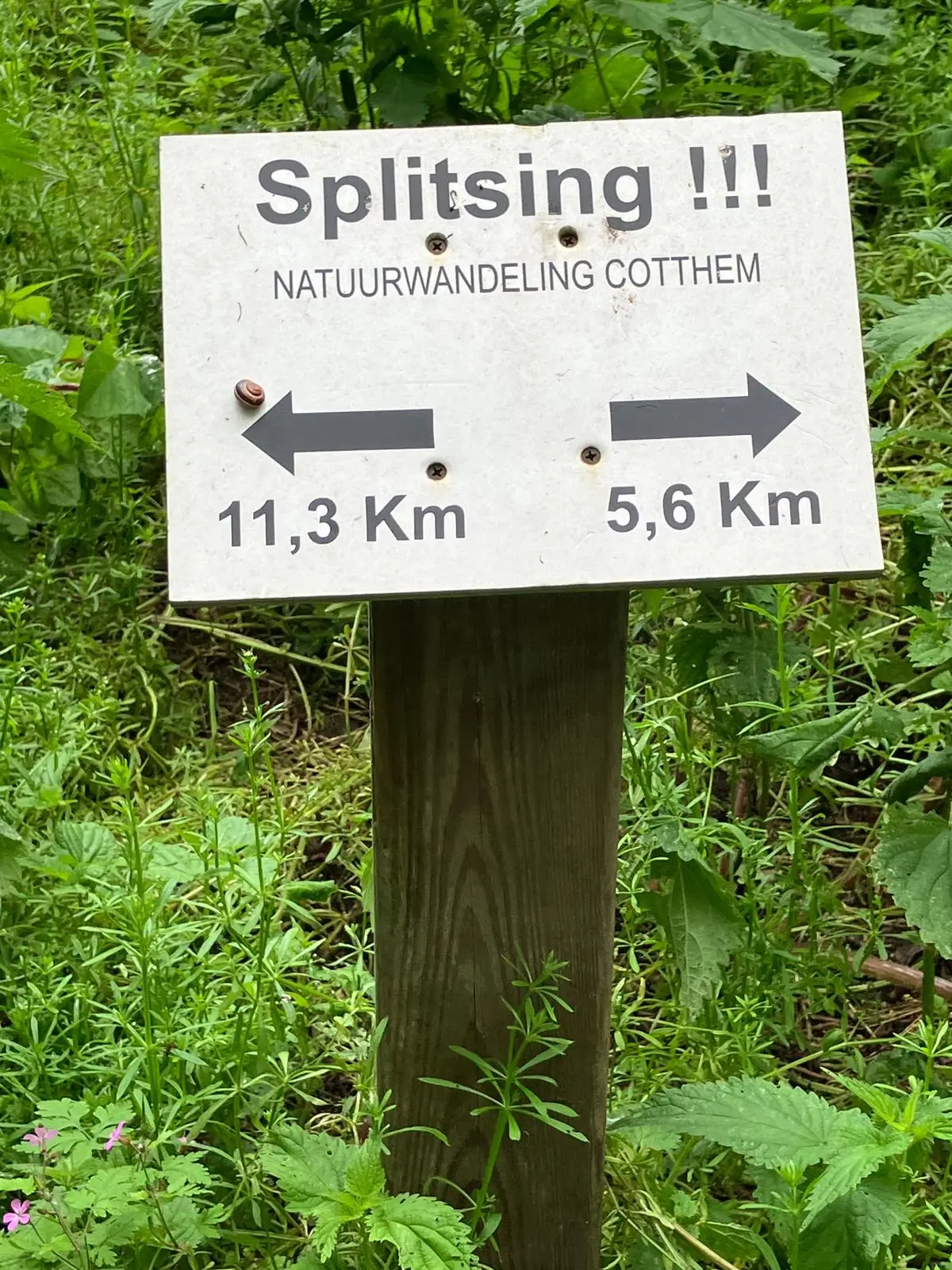 Wandeling afbeelding