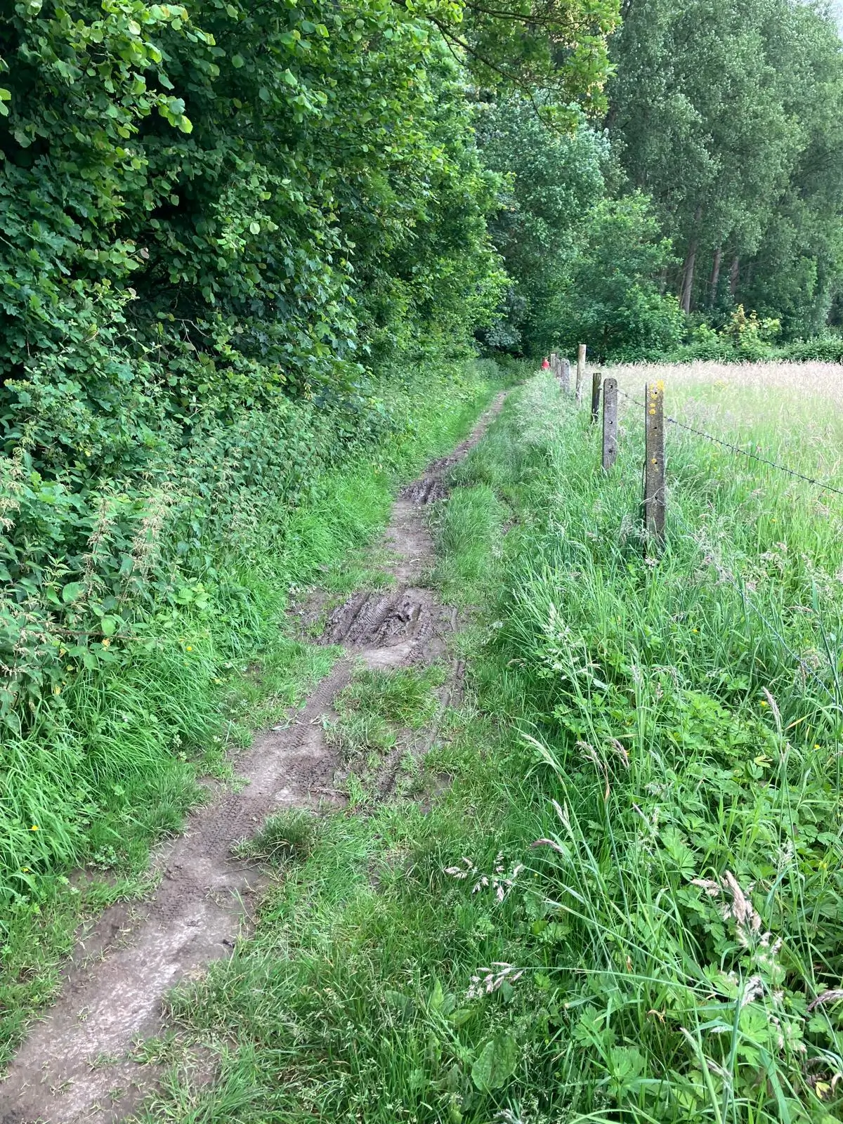 Wandeling afbeelding