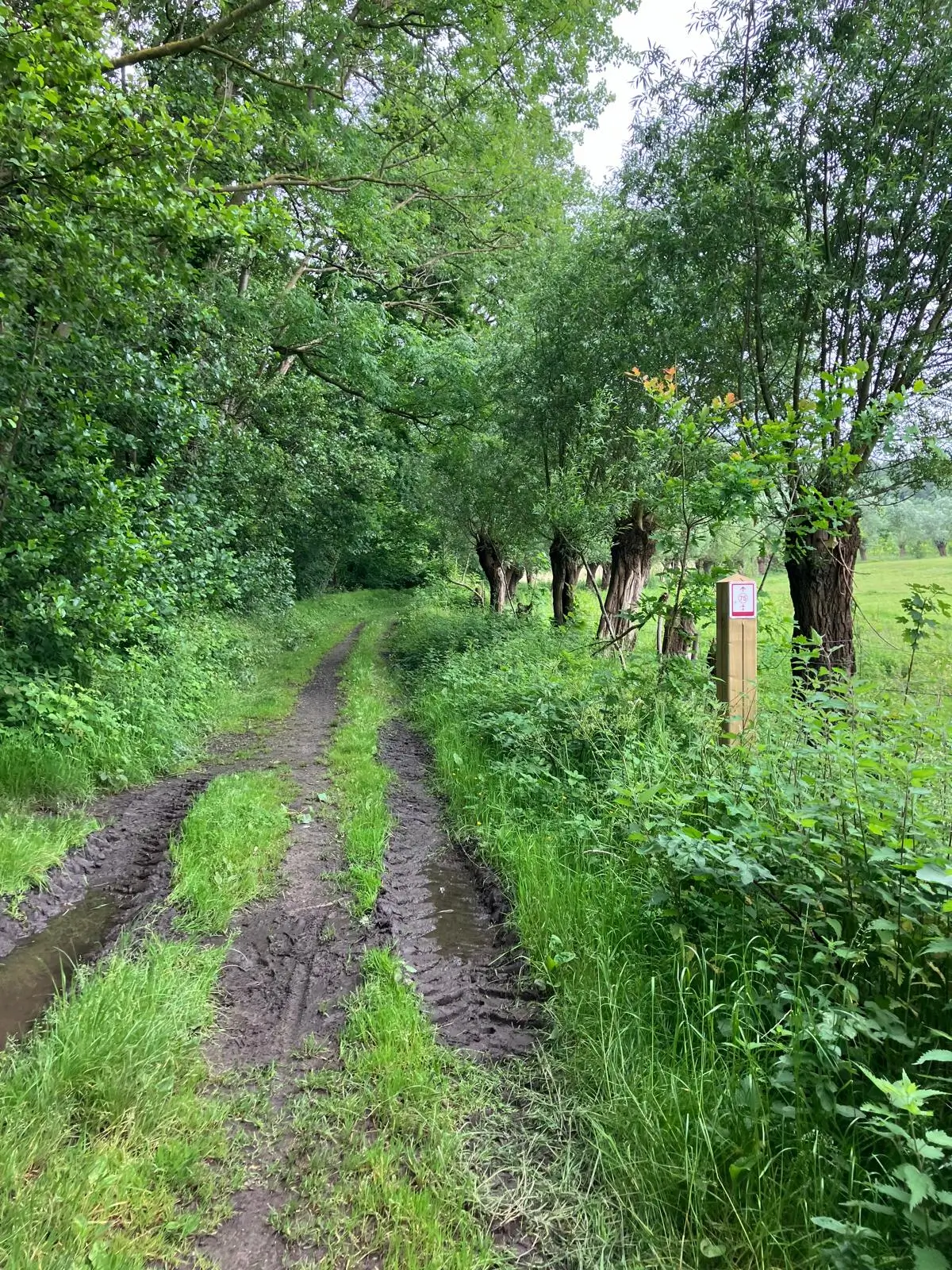 Wandeling afbeelding