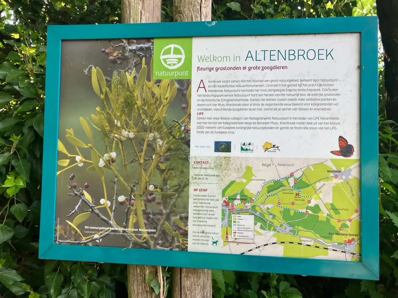 Wandeling afbeelding