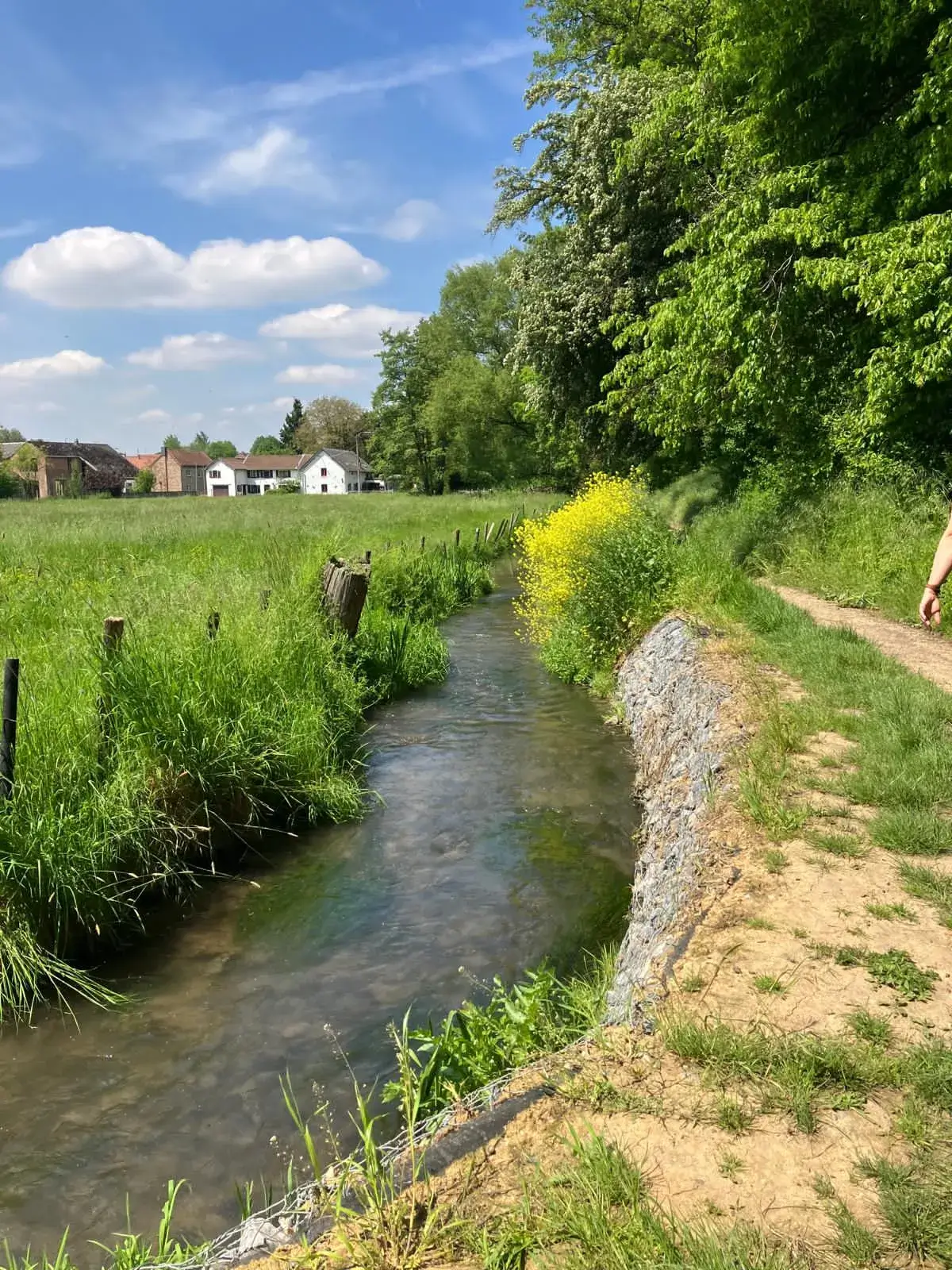Wandeling afbeelding