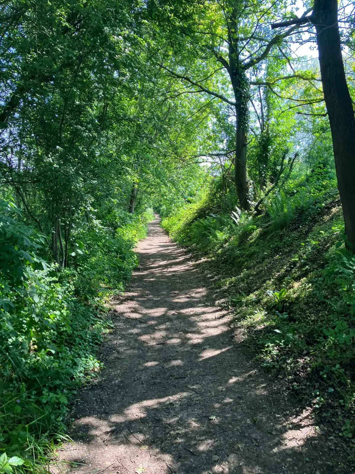 Wandeling afbeelding