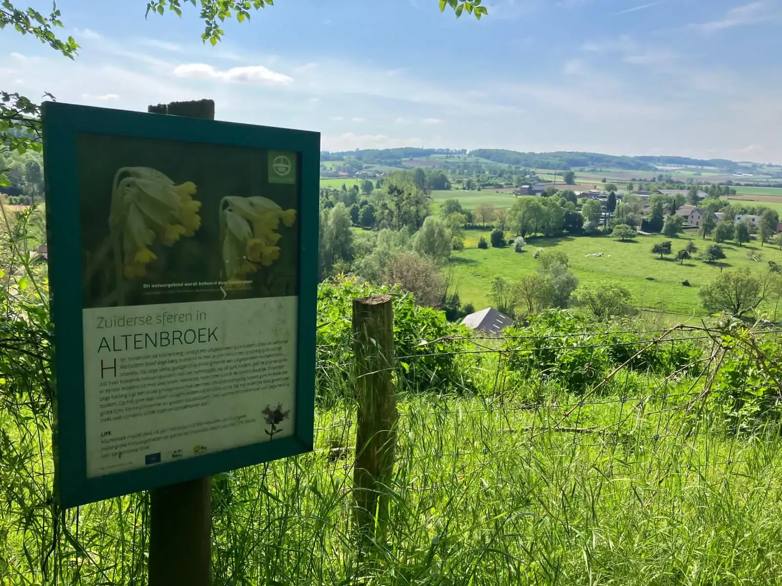 Wandeling afbeelding