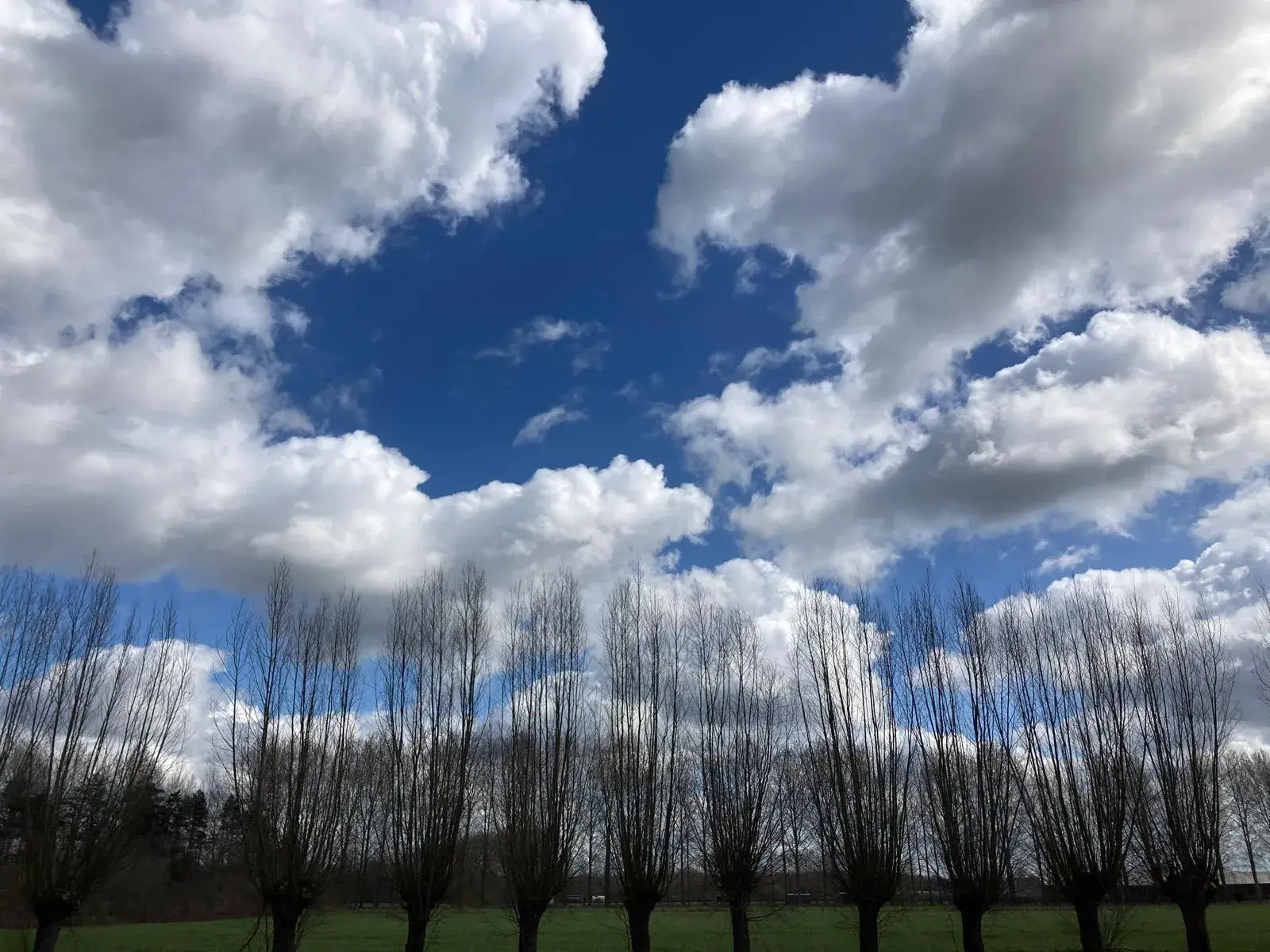 Wandeling afbeelding