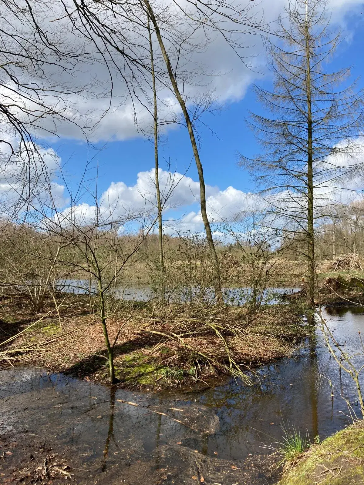 Wandeling afbeelding