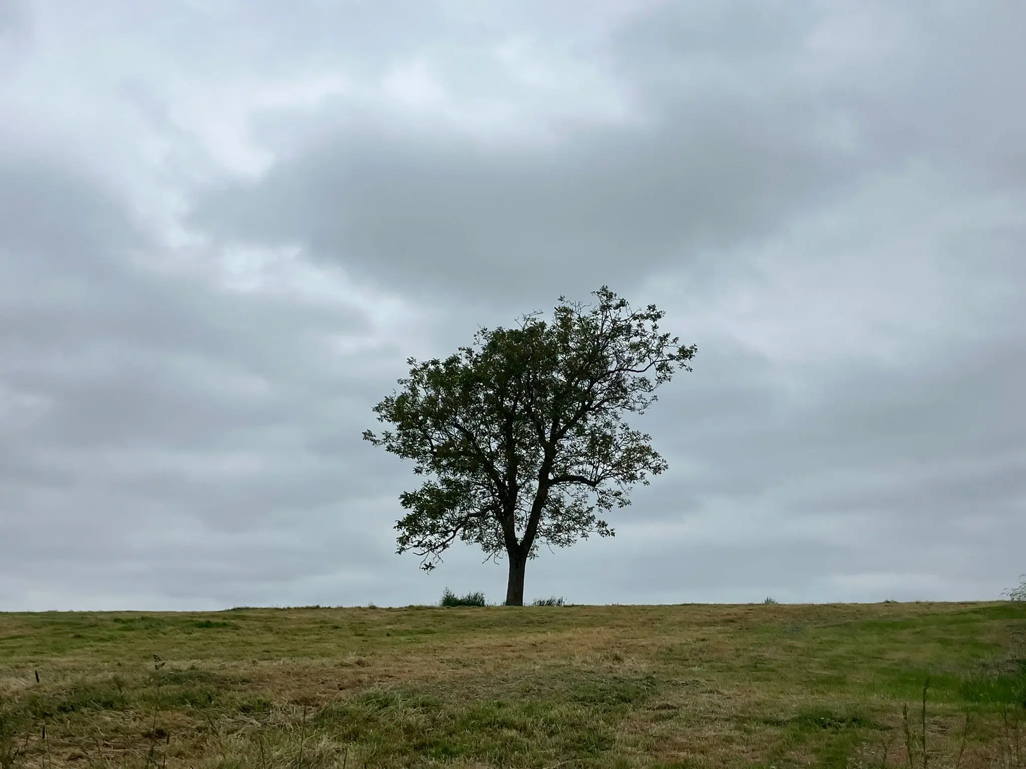 Wandeling afbeelding