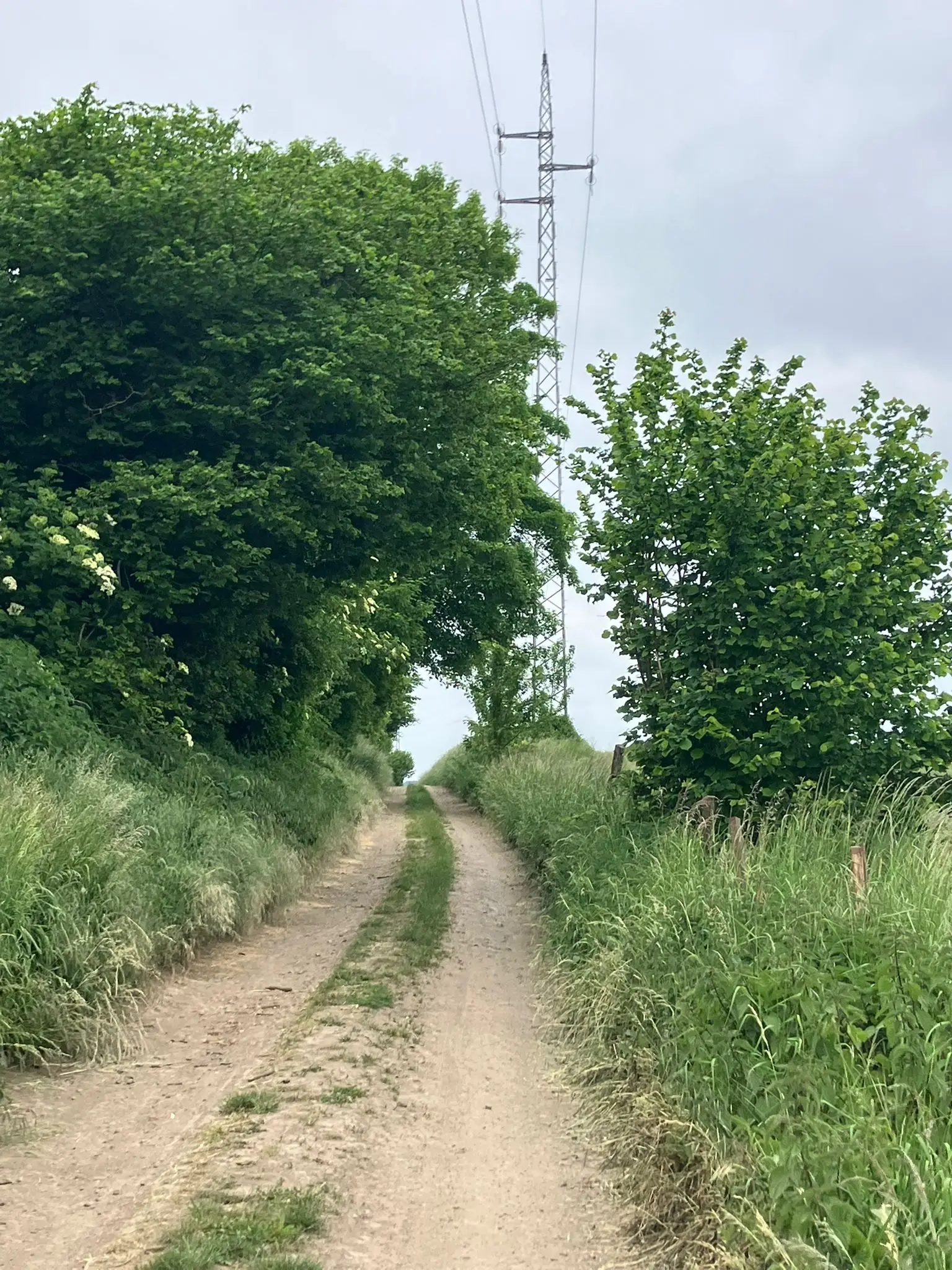 Wandeling afbeelding