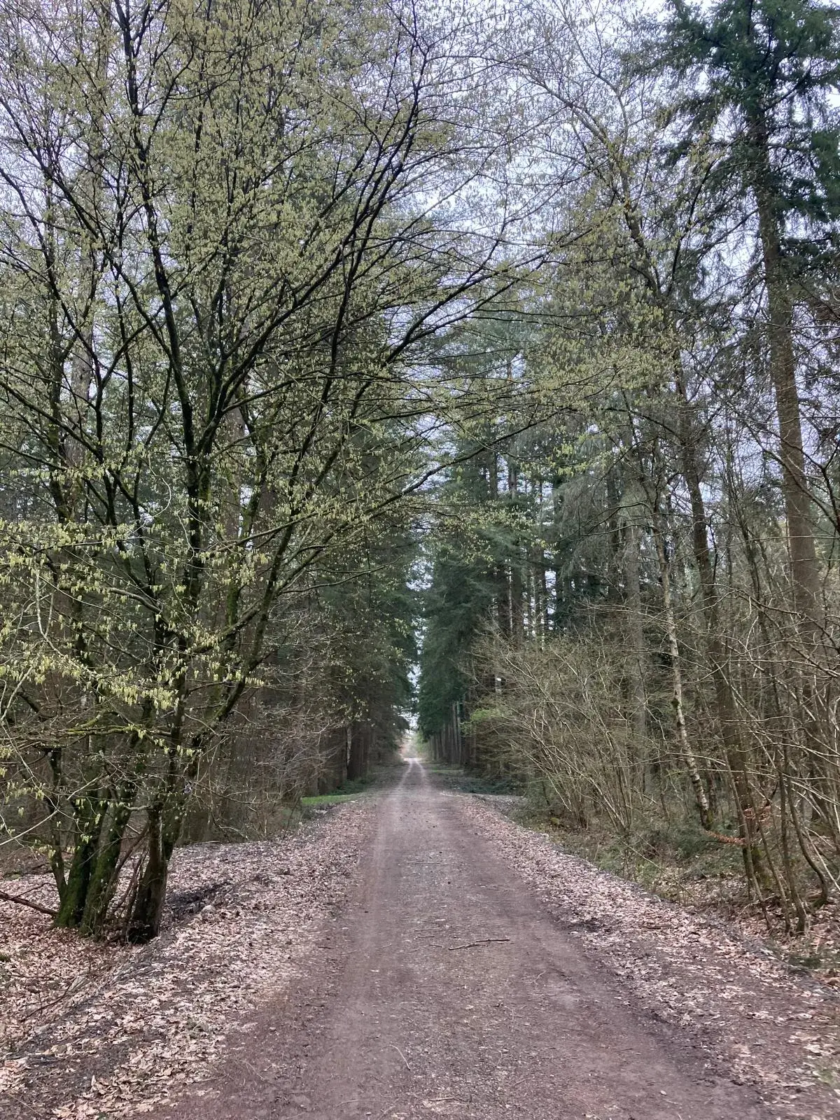 Wandeling afbeelding