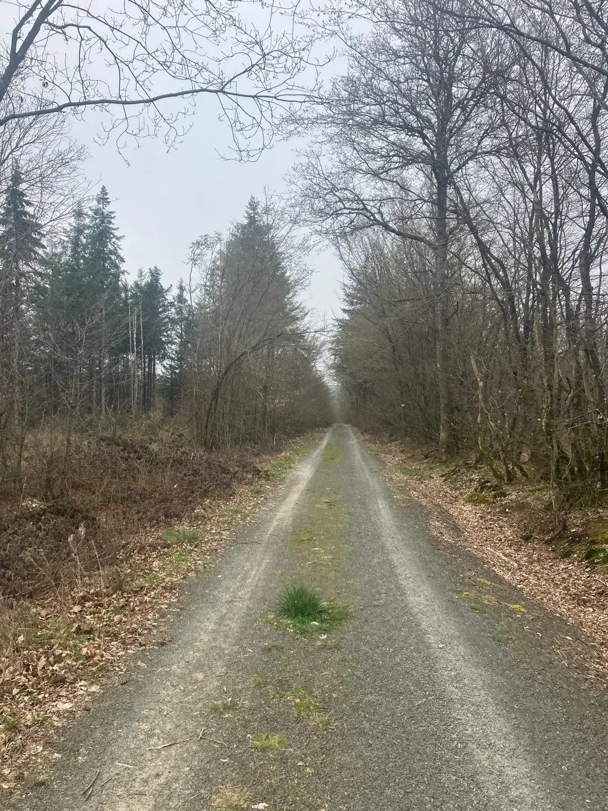 Wandeling afbeelding