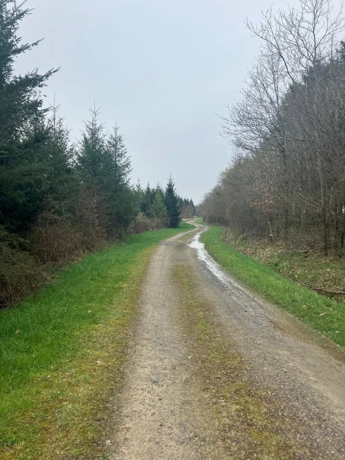 Wandeling afbeelding