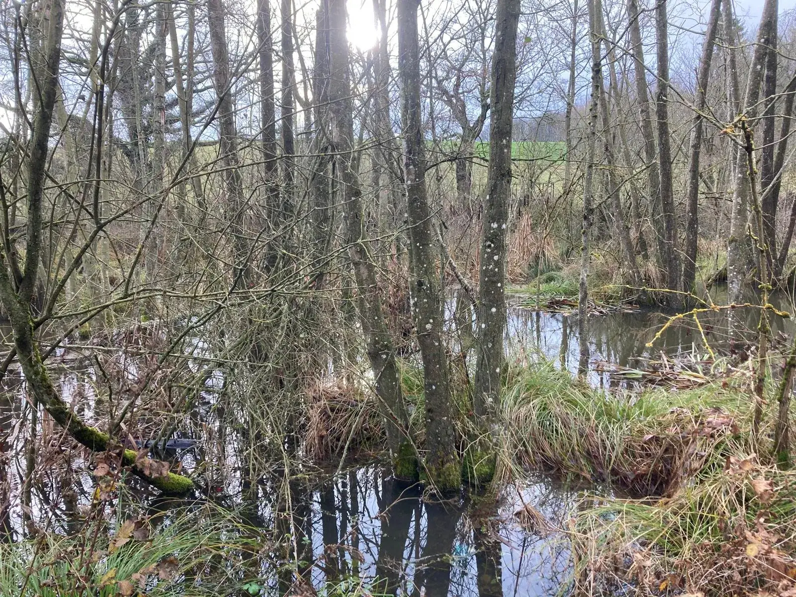 Wandeling afbeelding