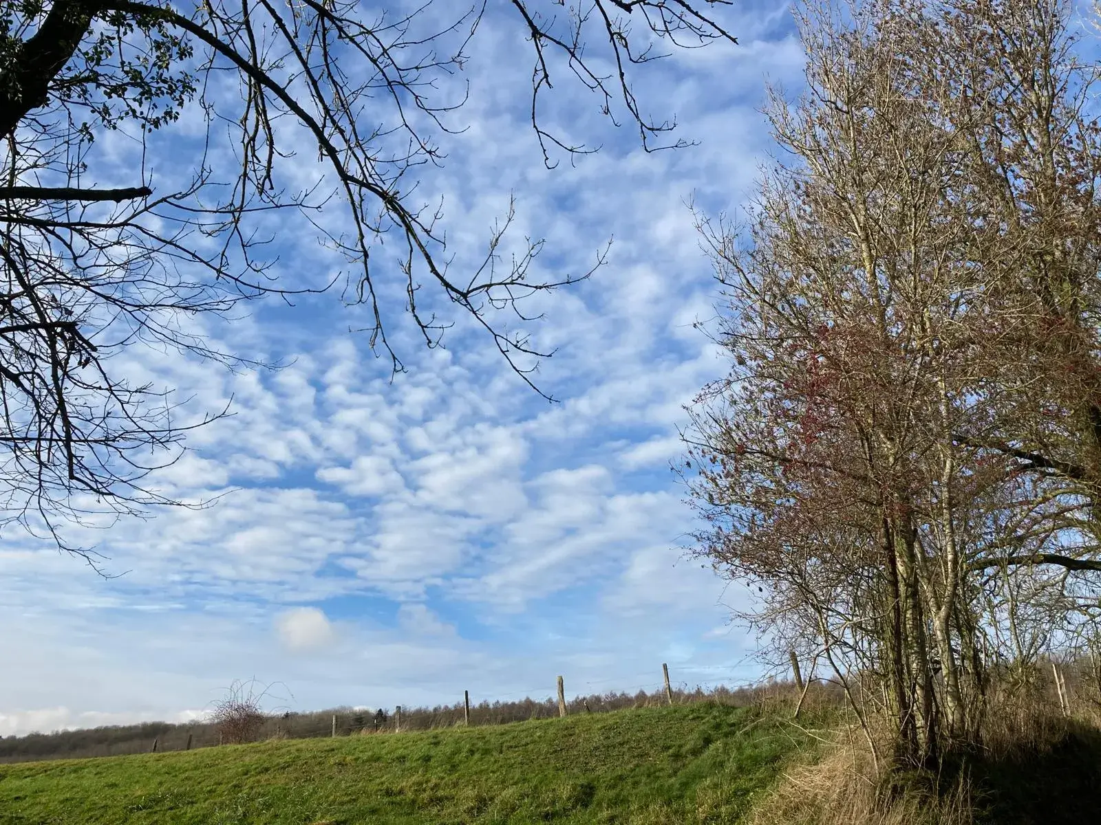 Wandeling afbeelding