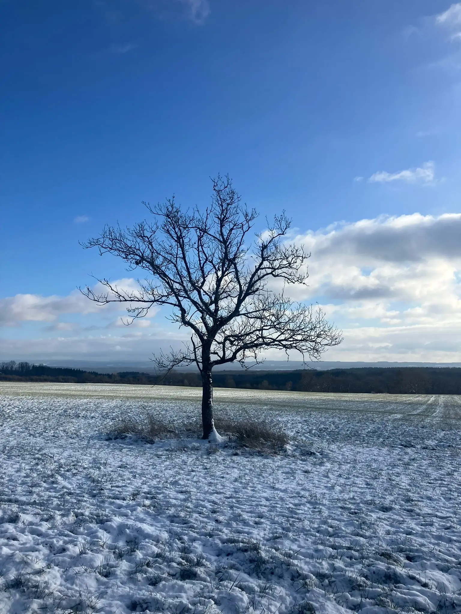 Wandeling afbeelding
