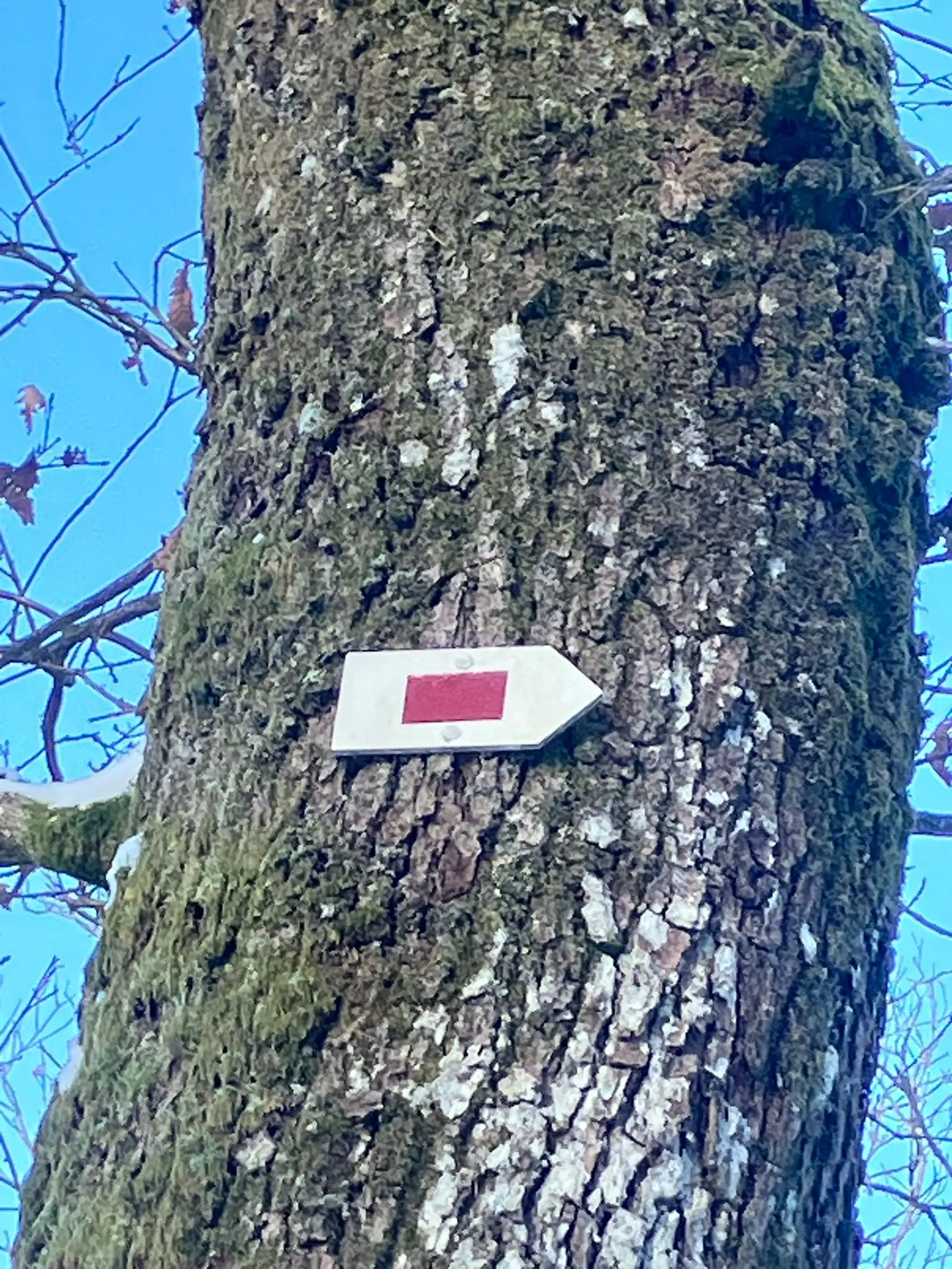 Wandeling afbeelding