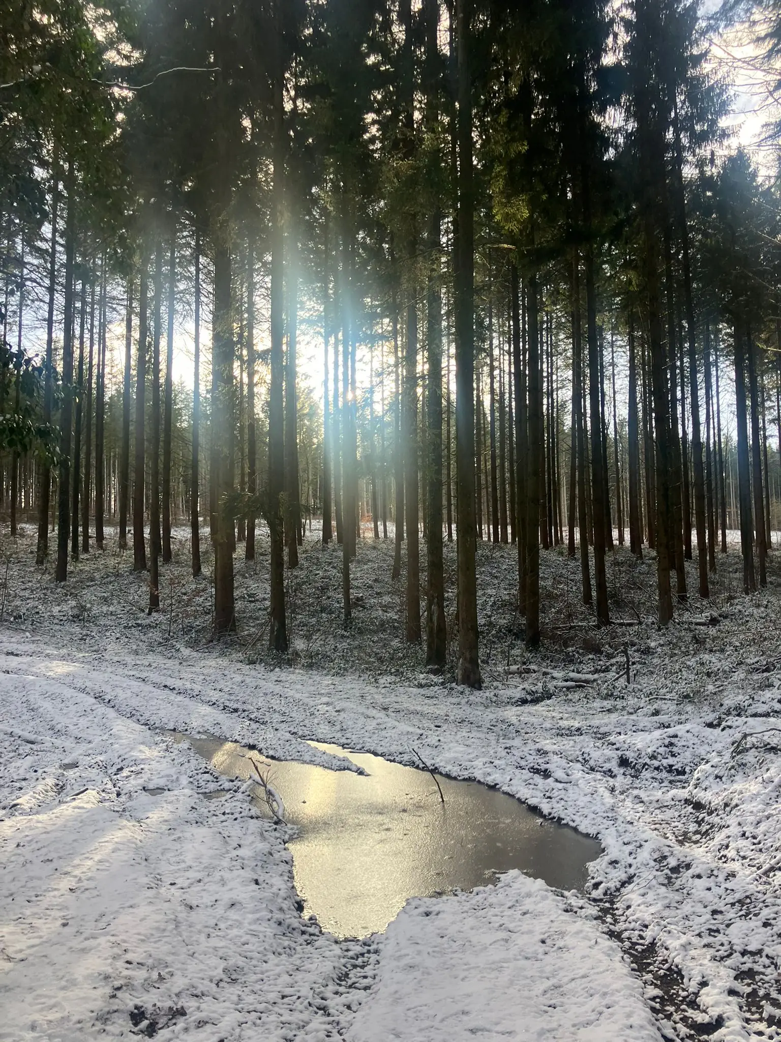 Wandeling afbeelding