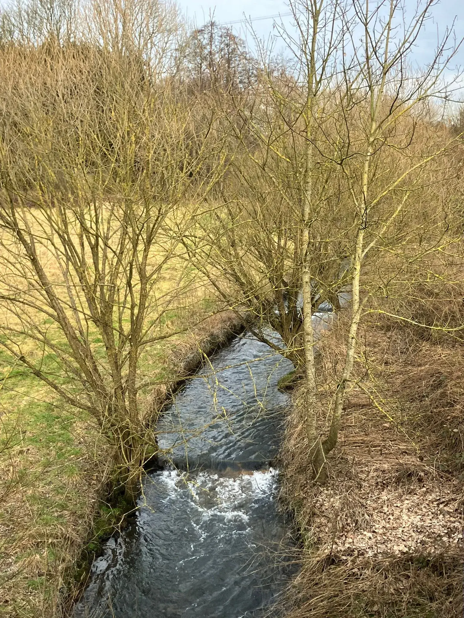 Wandeling afbeelding