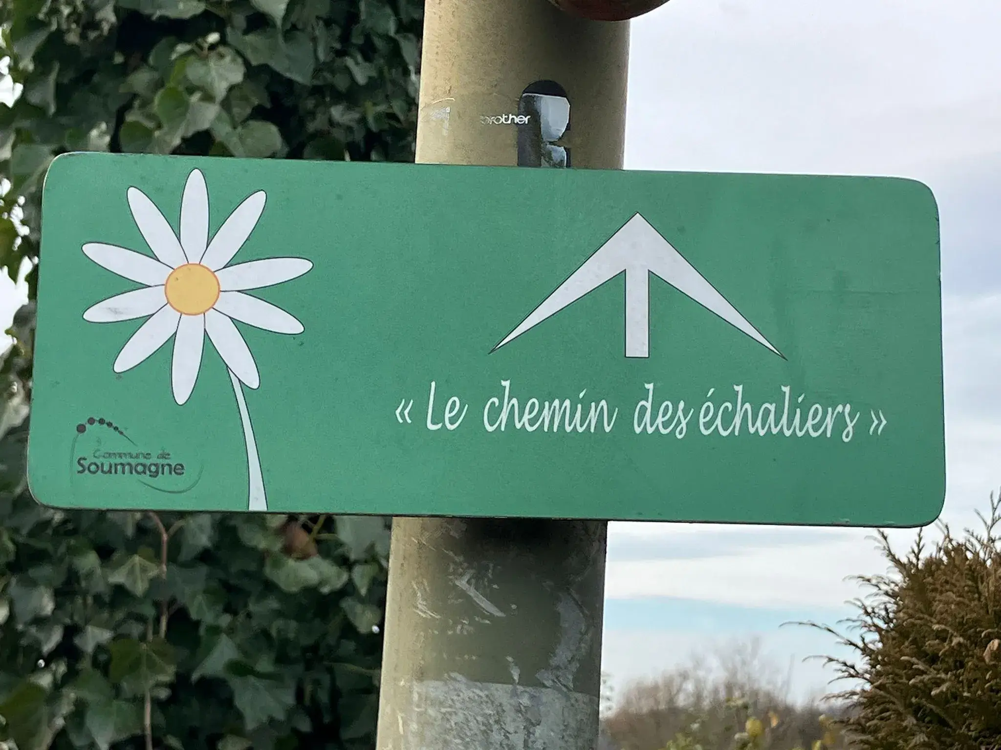 Wandeling afbeelding
