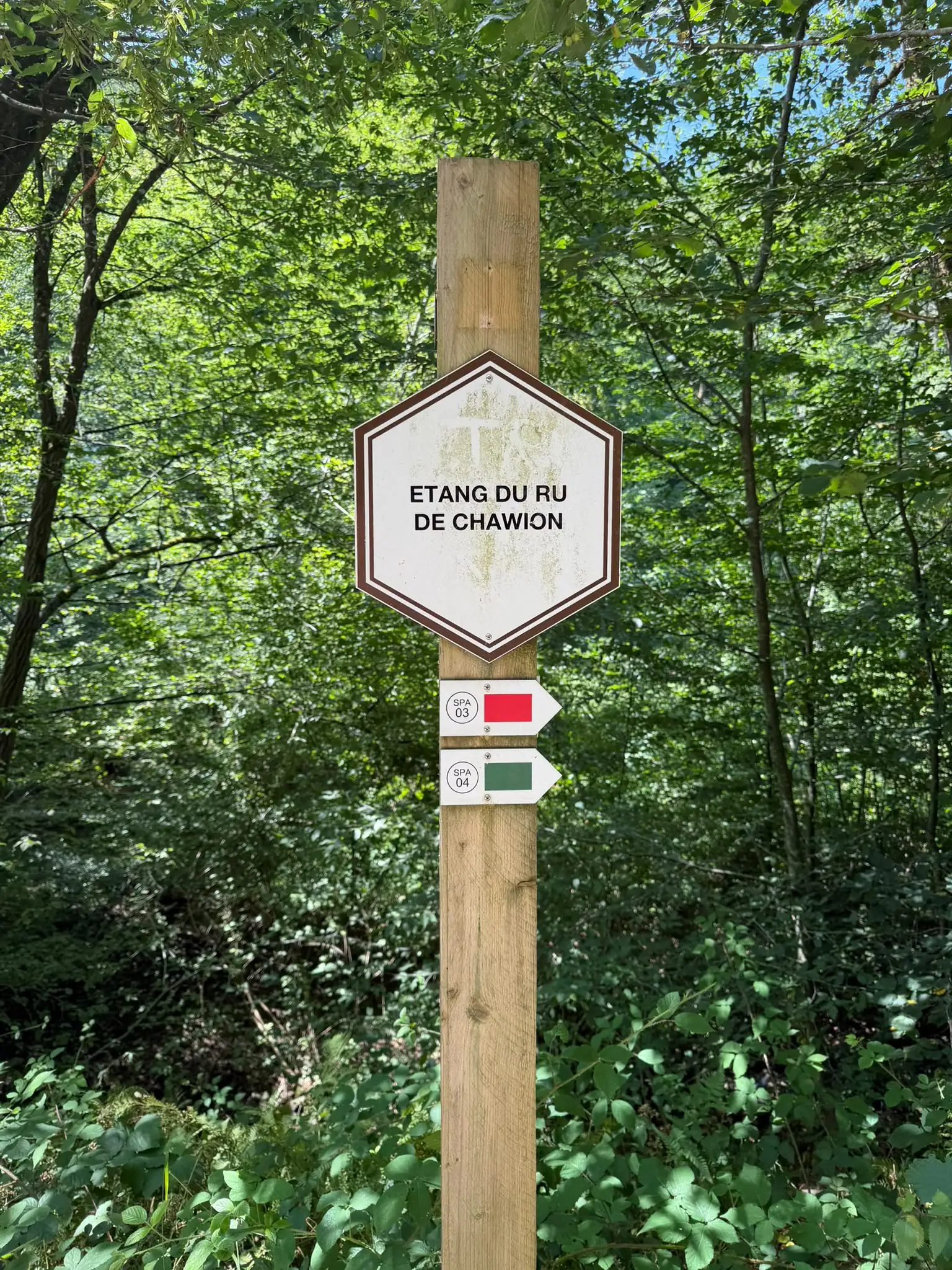 Wandeling afbeelding