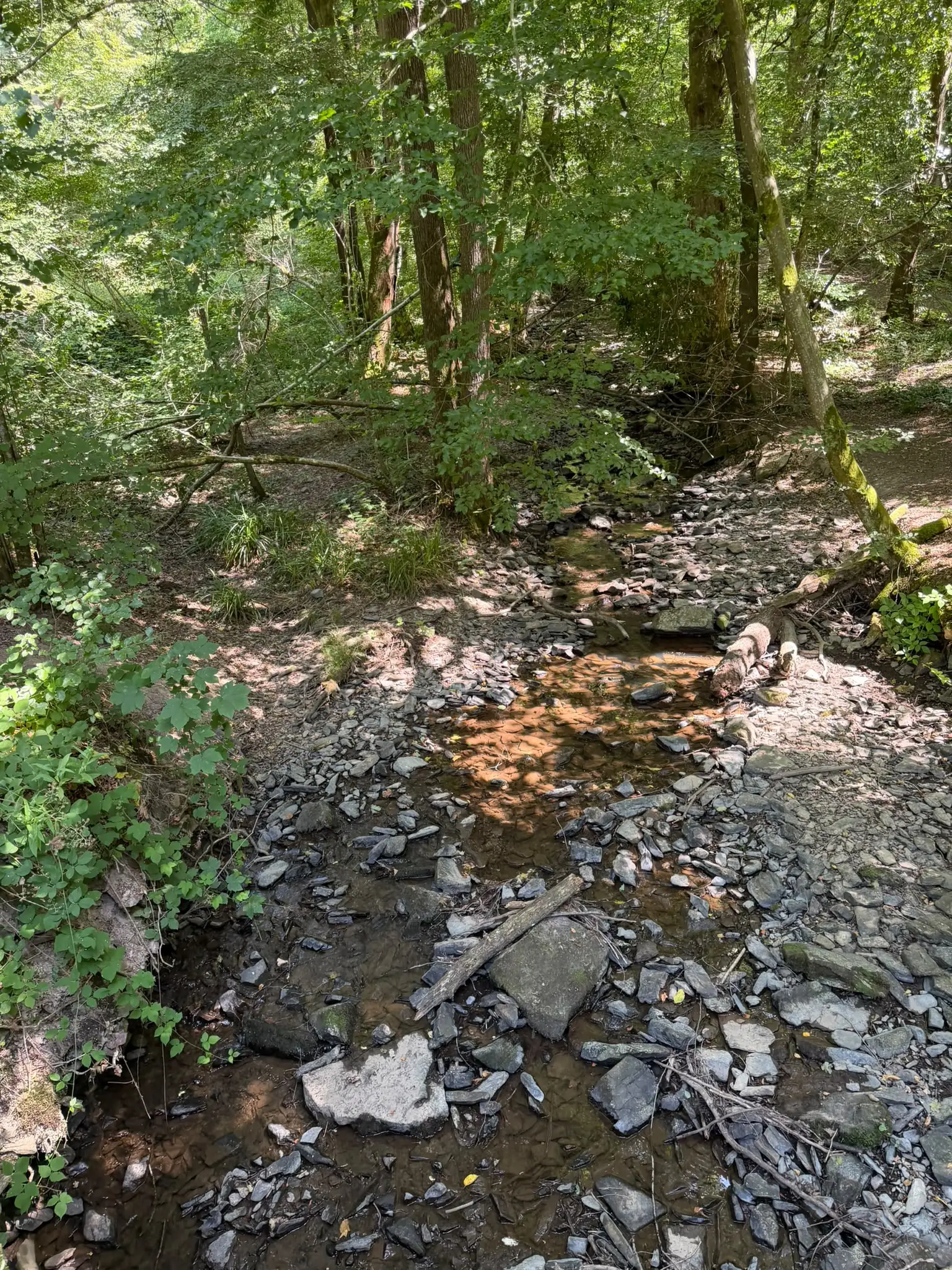 Wandeling afbeelding