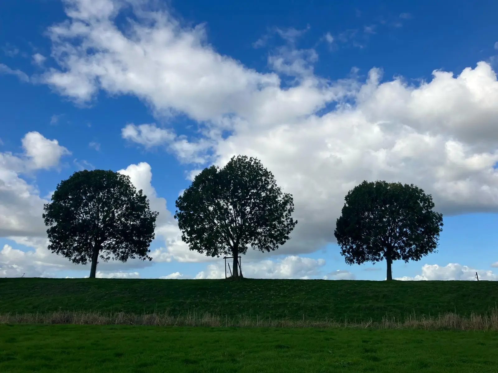Wandeling afbeelding