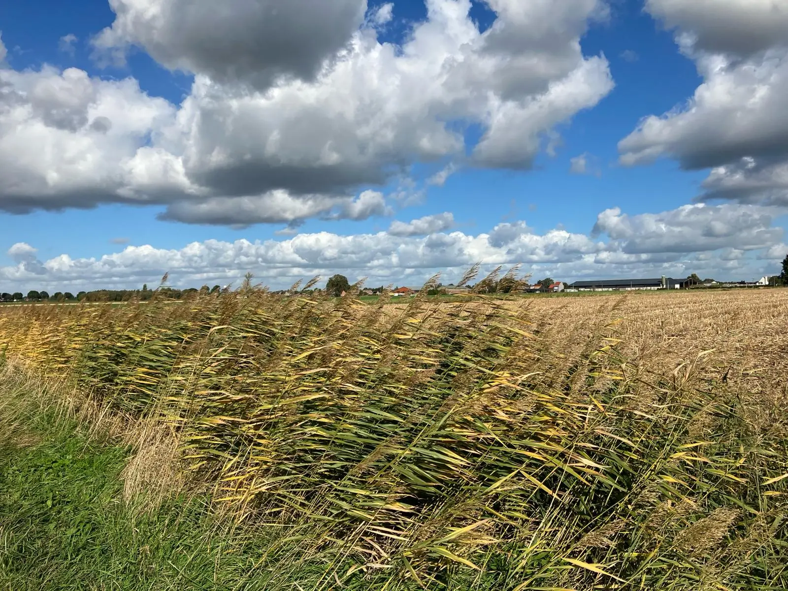 Wandeling afbeelding