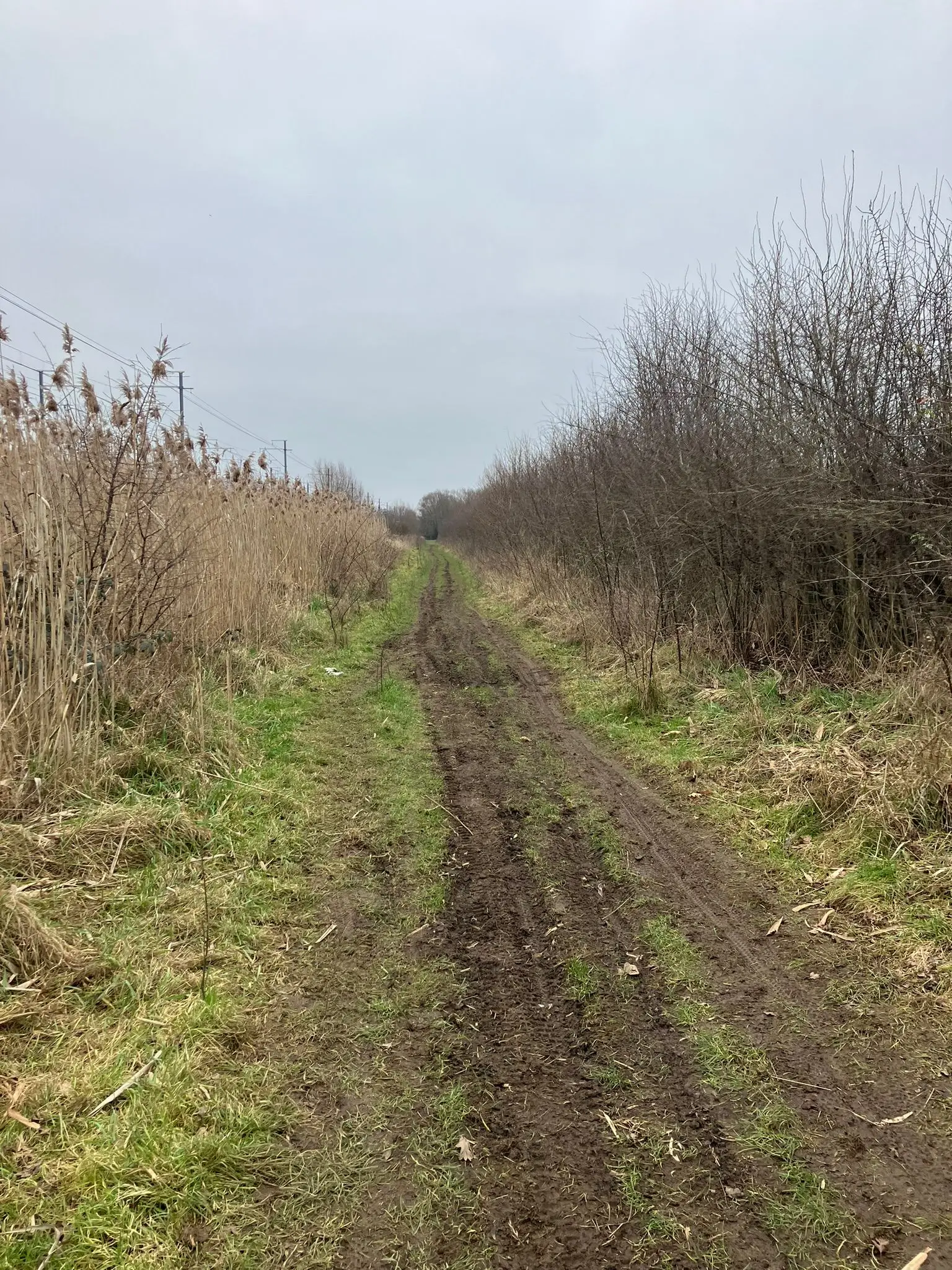 Wandeling afbeelding