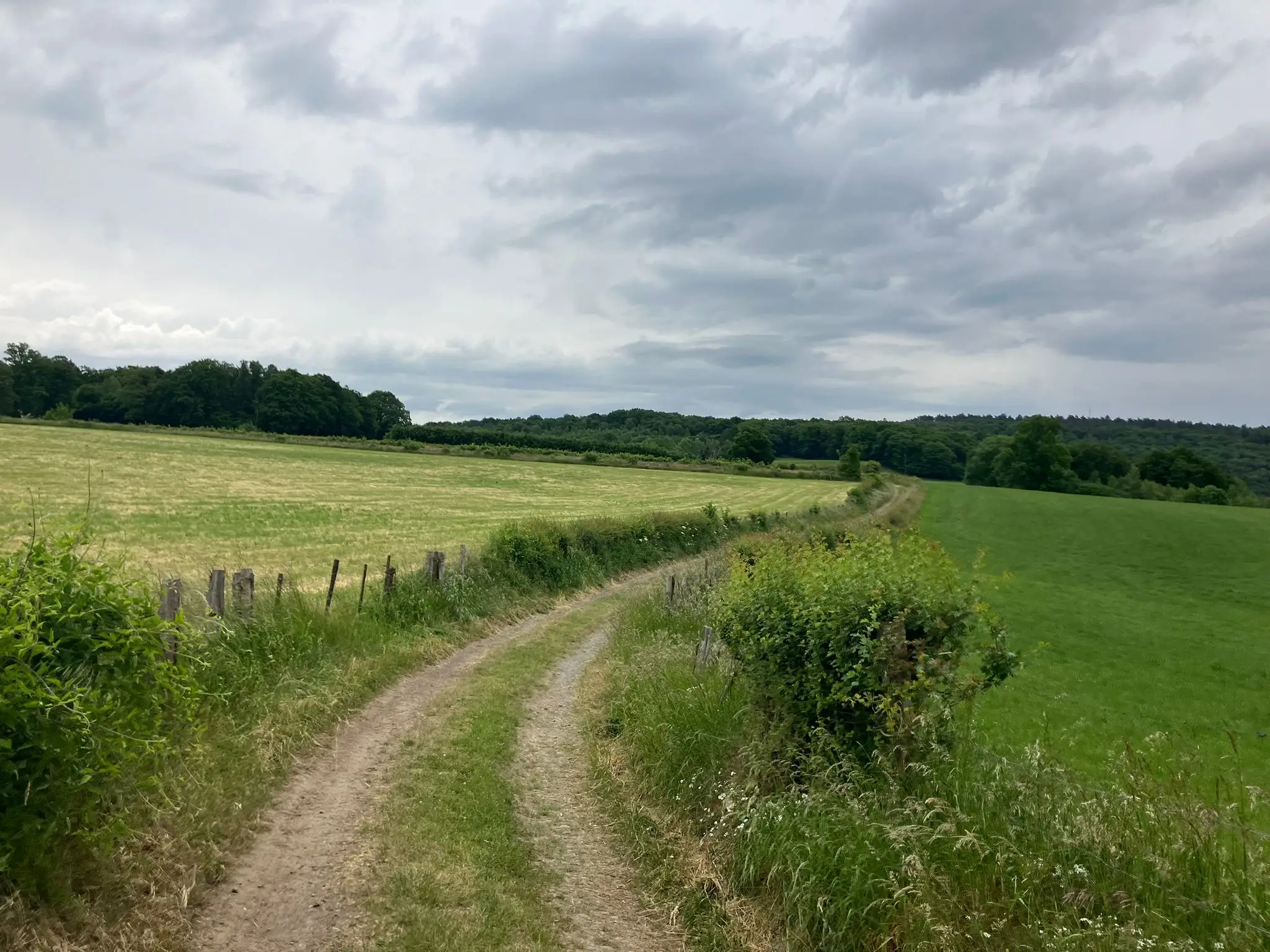 Wandeling afbeelding