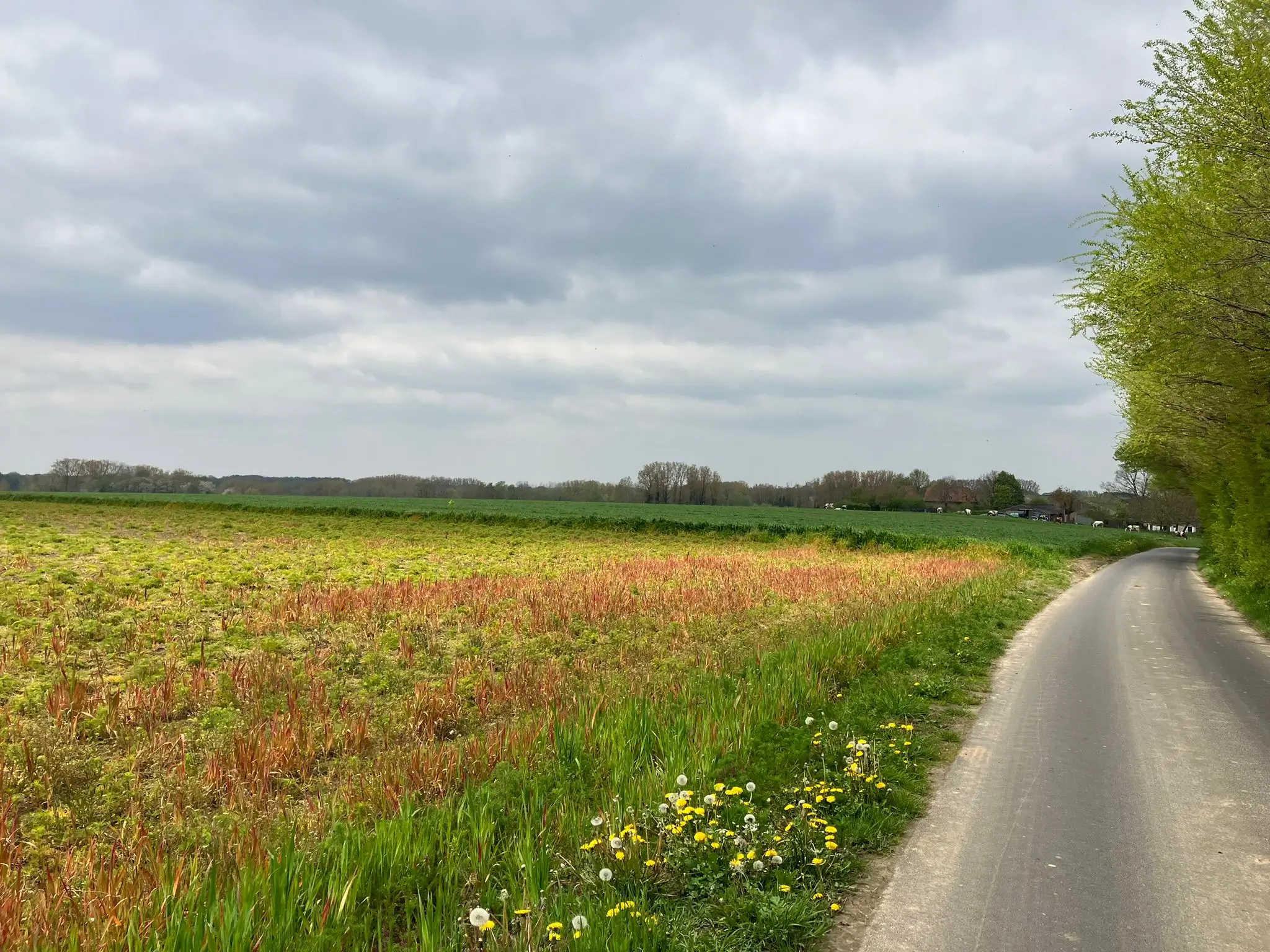 Wandeling afbeelding