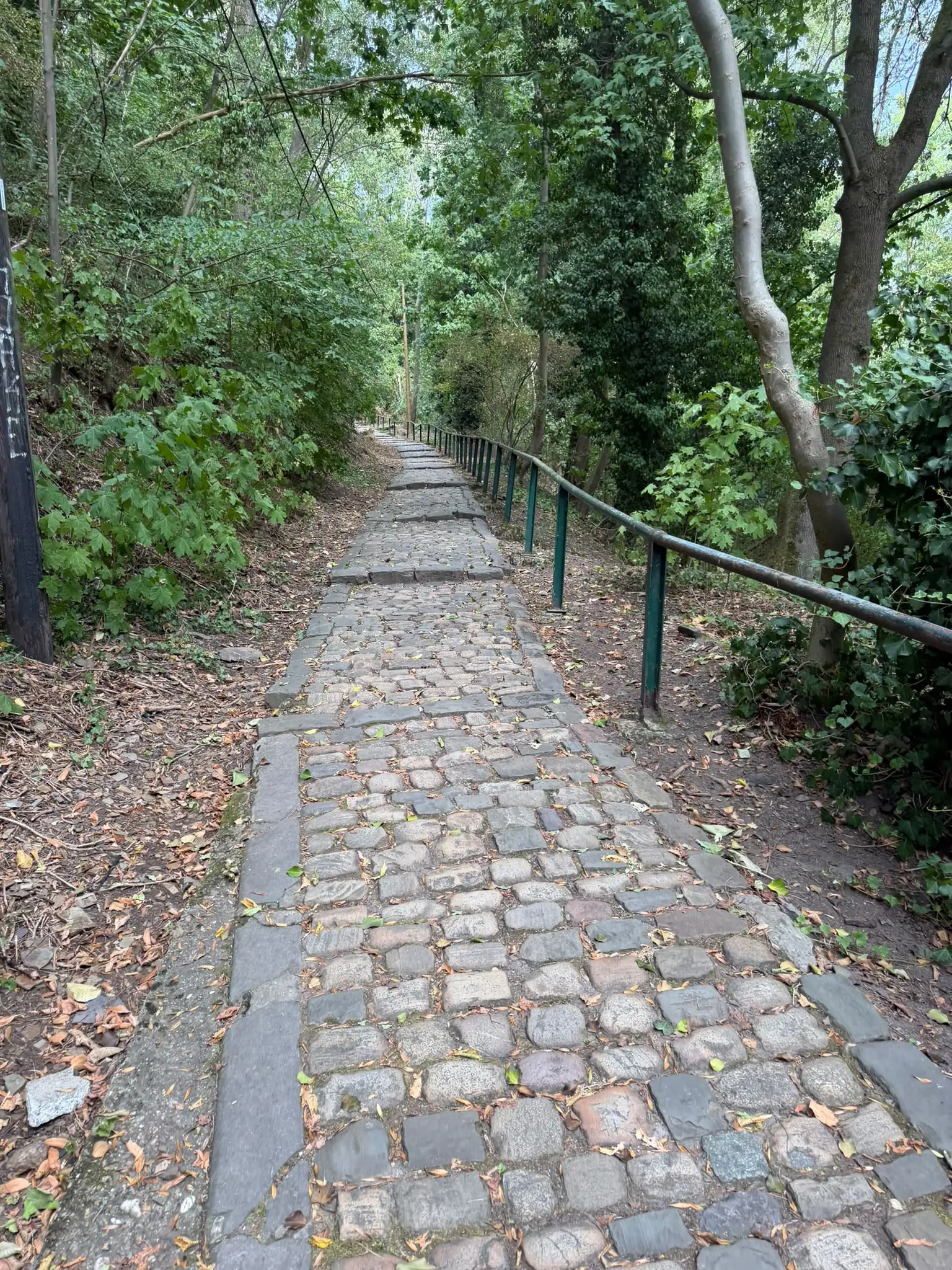 Wandeling afbeelding