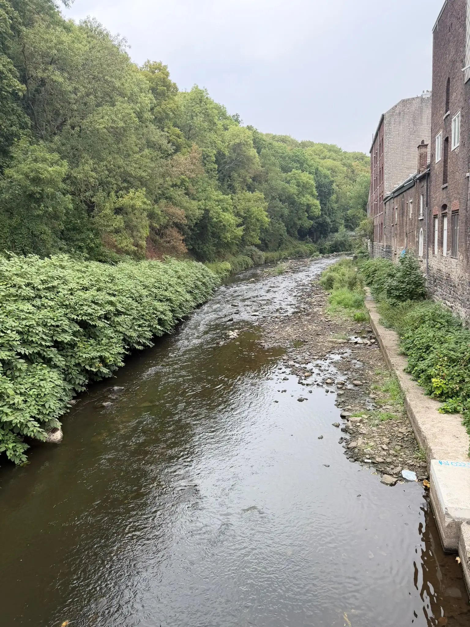 Wandeling afbeelding