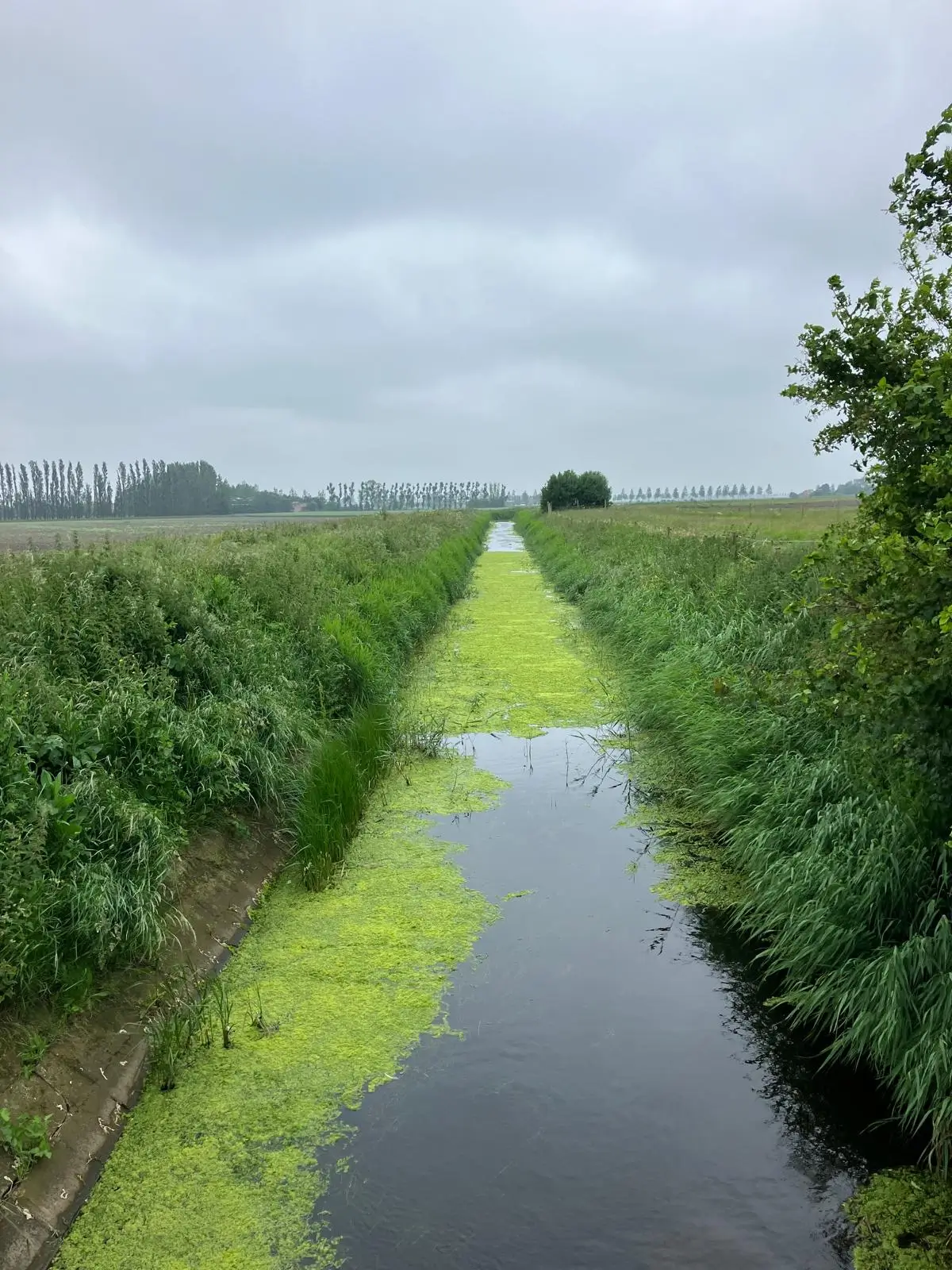 Wandeling afbeelding