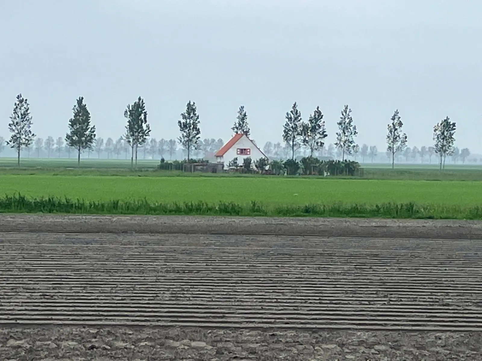 Wandeling afbeelding