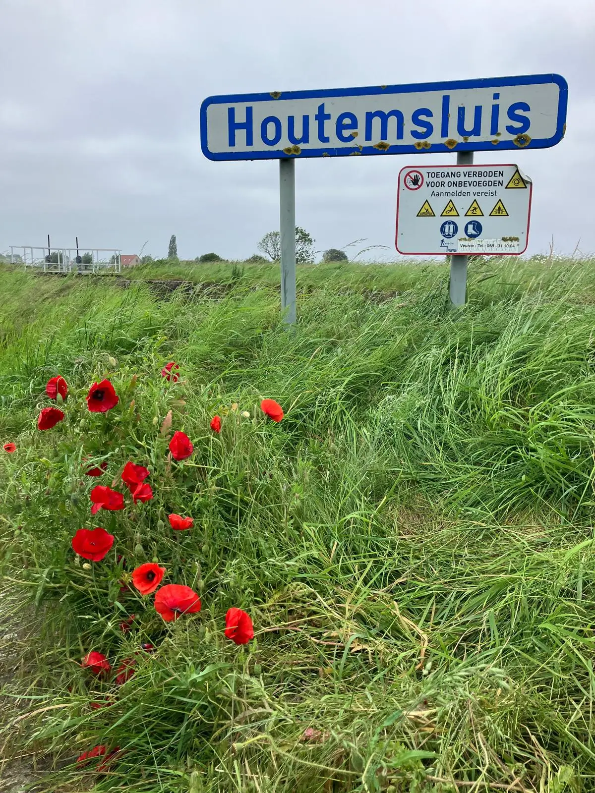 Wandeling afbeelding