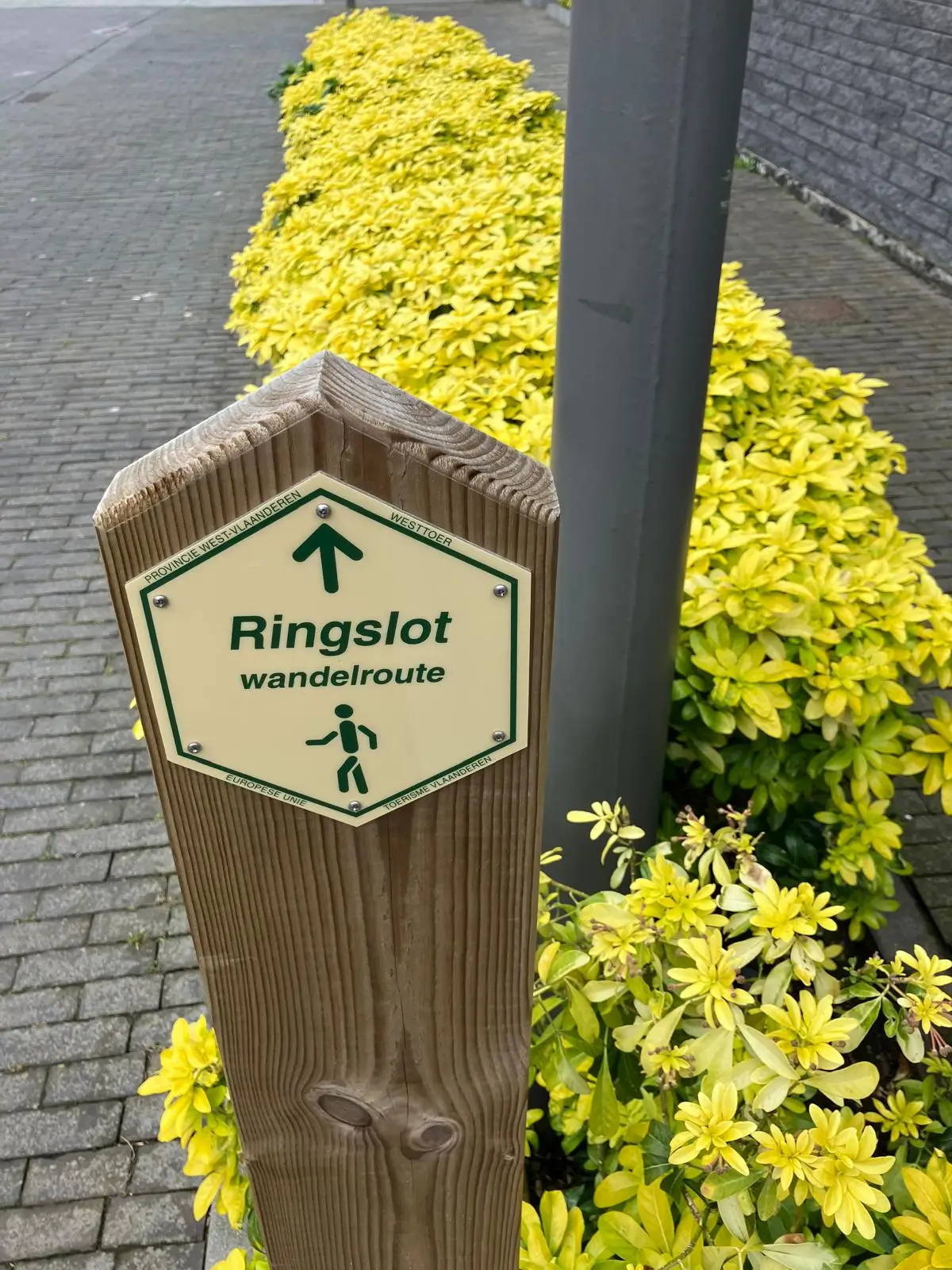 Wandeling afbeelding