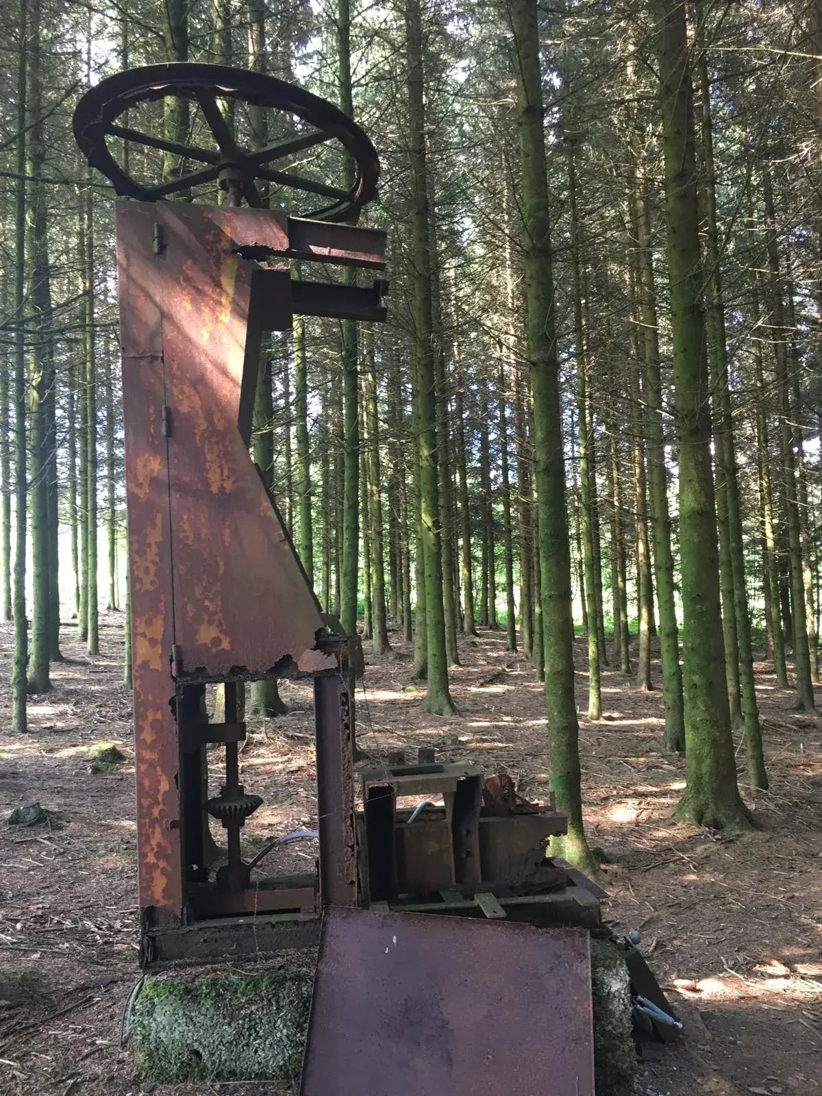 Wandeling afbeelding