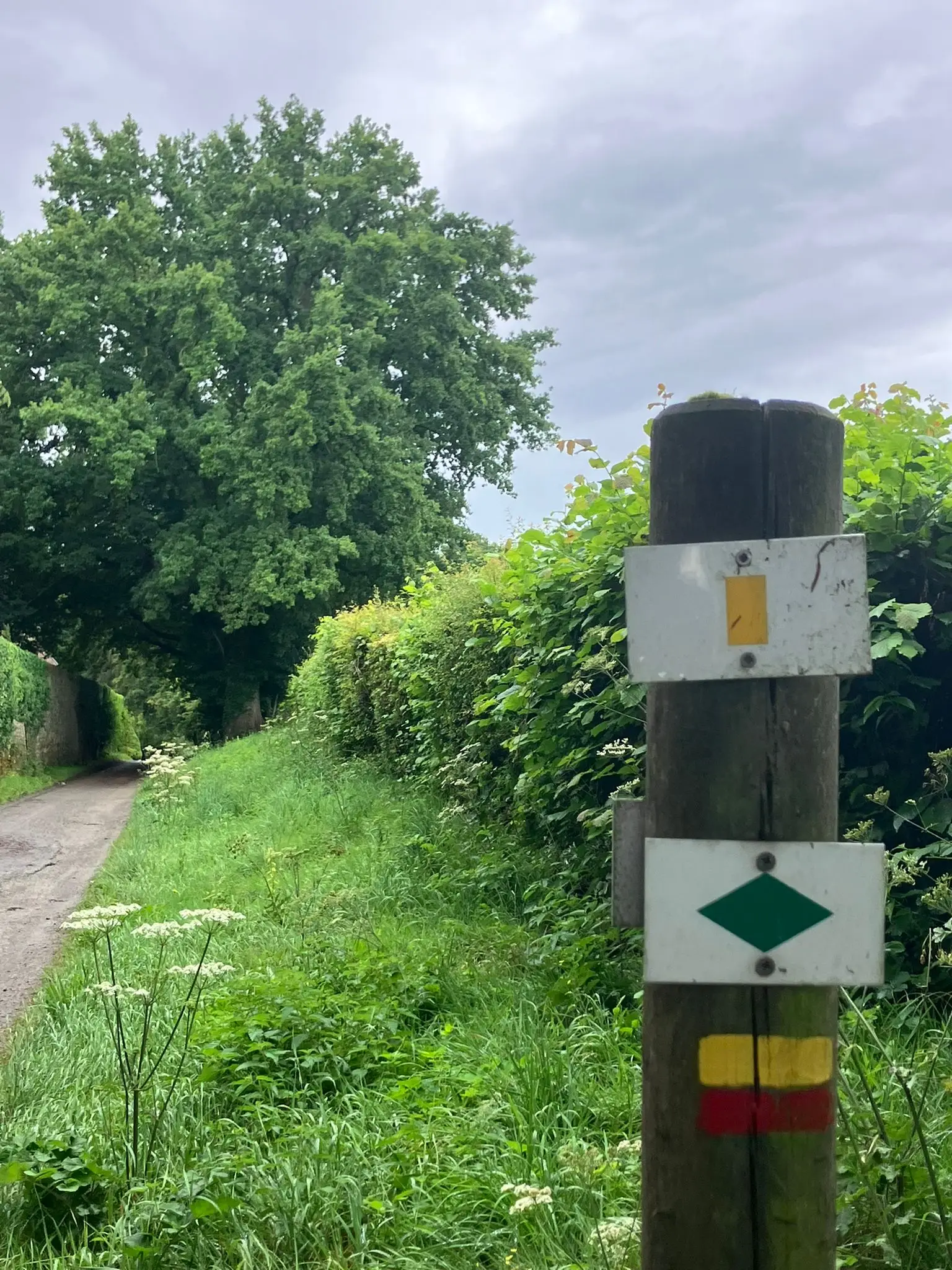 Wandeling afbeelding