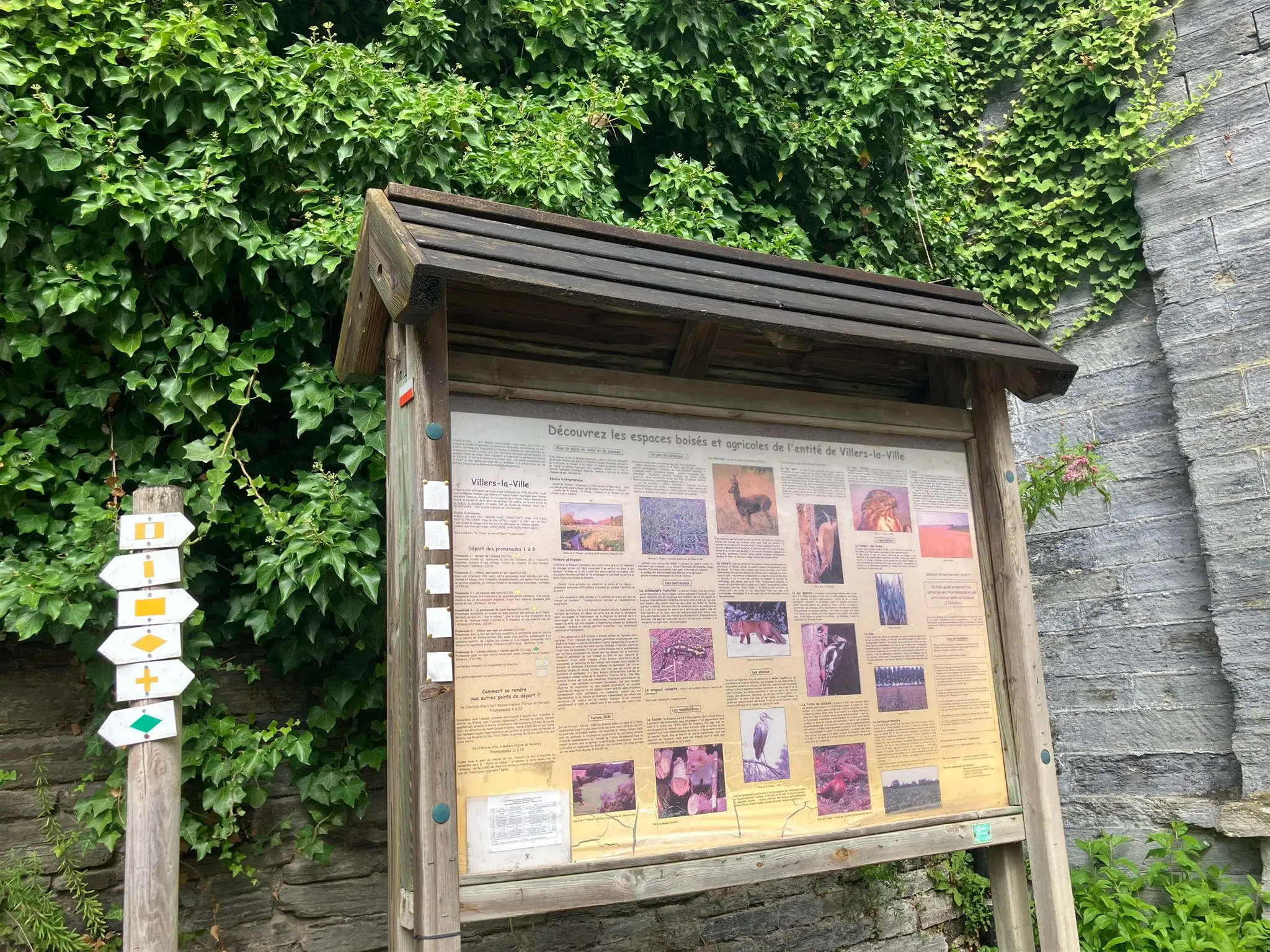 Wandeling afbeelding
