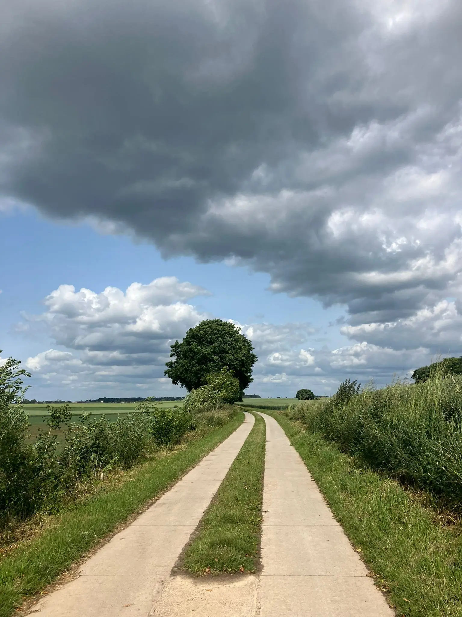 Wandeling afbeelding