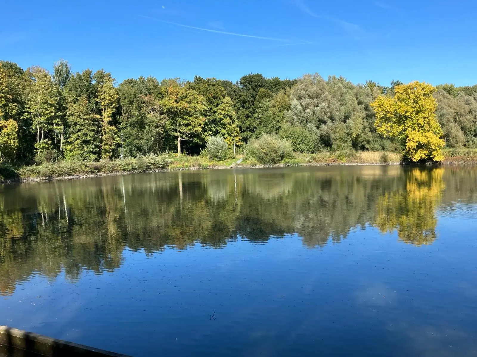 Wandeling afbeelding
