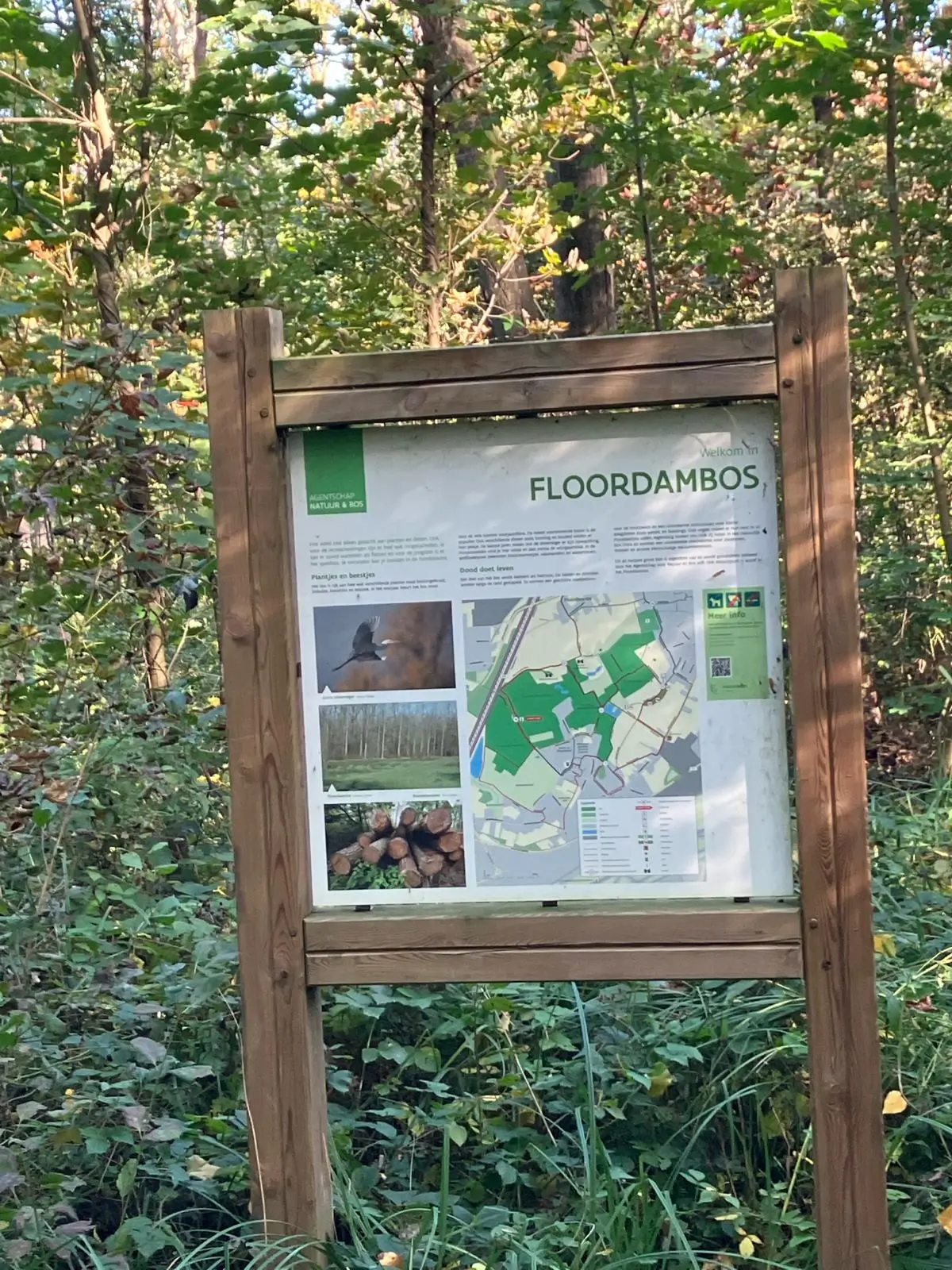 Wandeling afbeelding