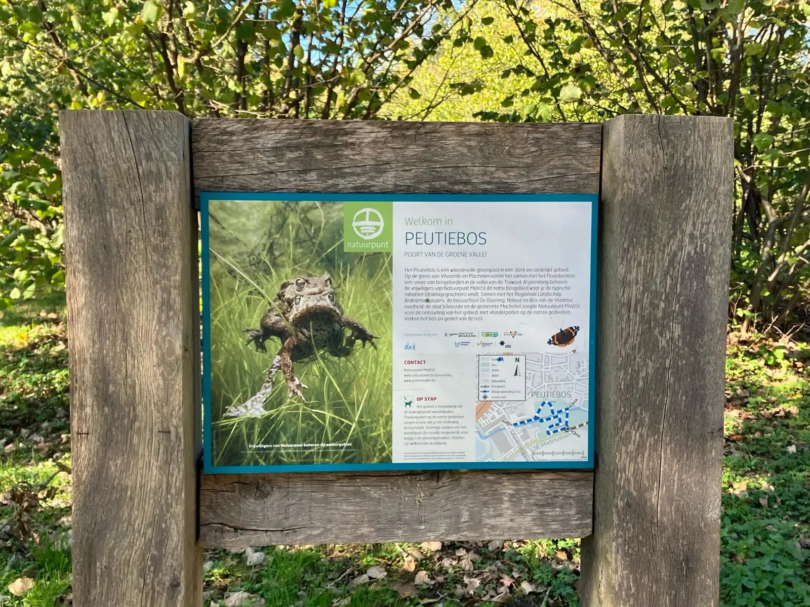 Wandeling afbeelding