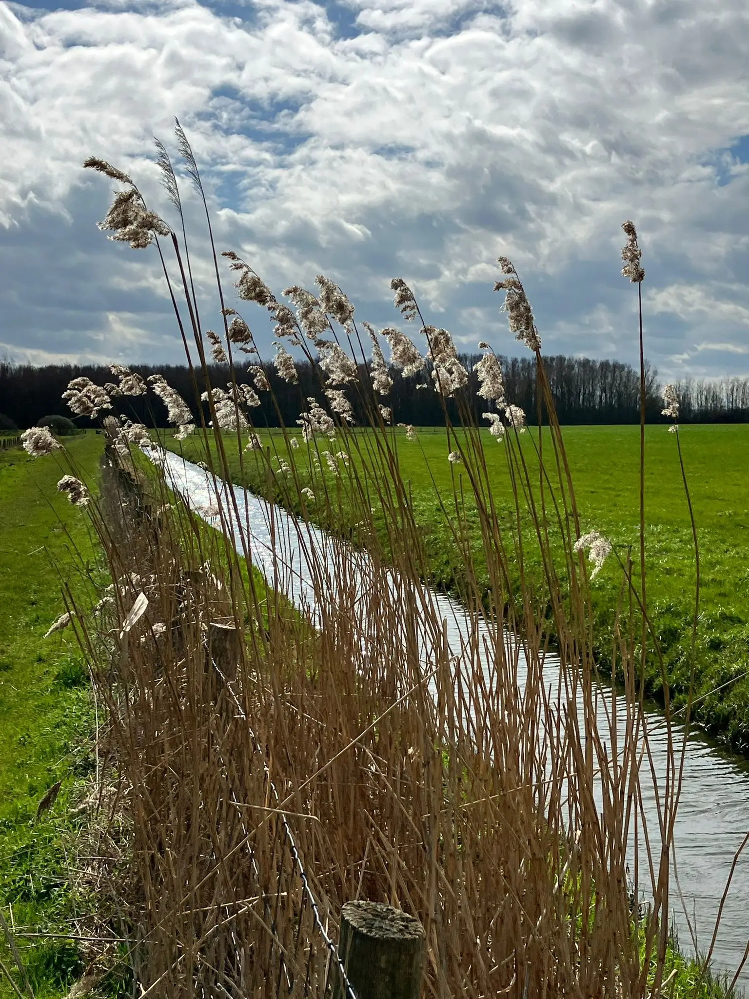 Wandeling afbeelding