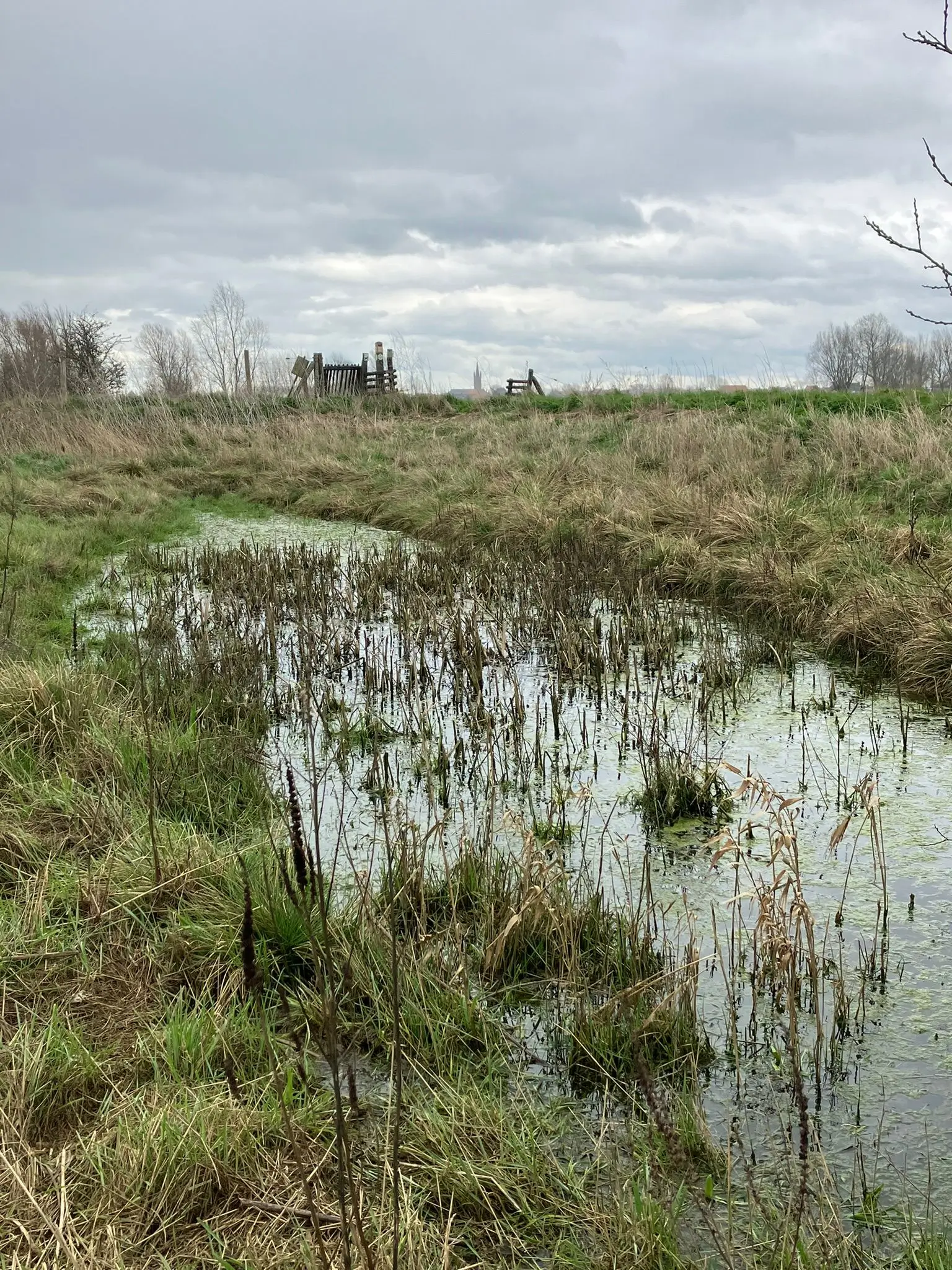 Wandeling afbeelding