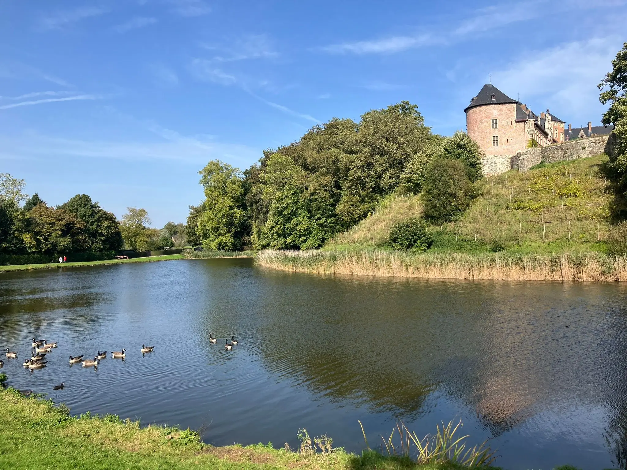 Wandeling afbeelding