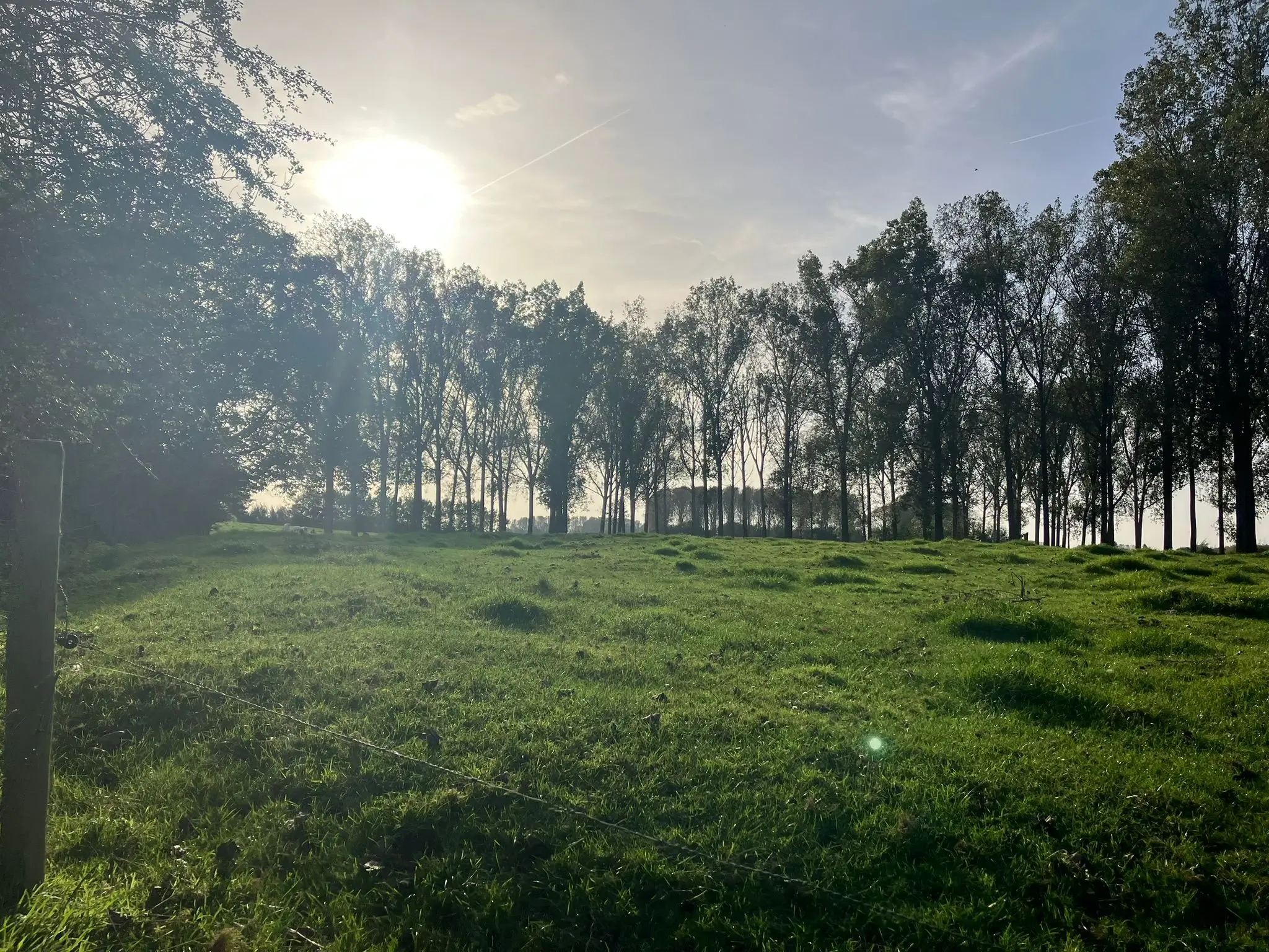 Wandeling afbeelding
