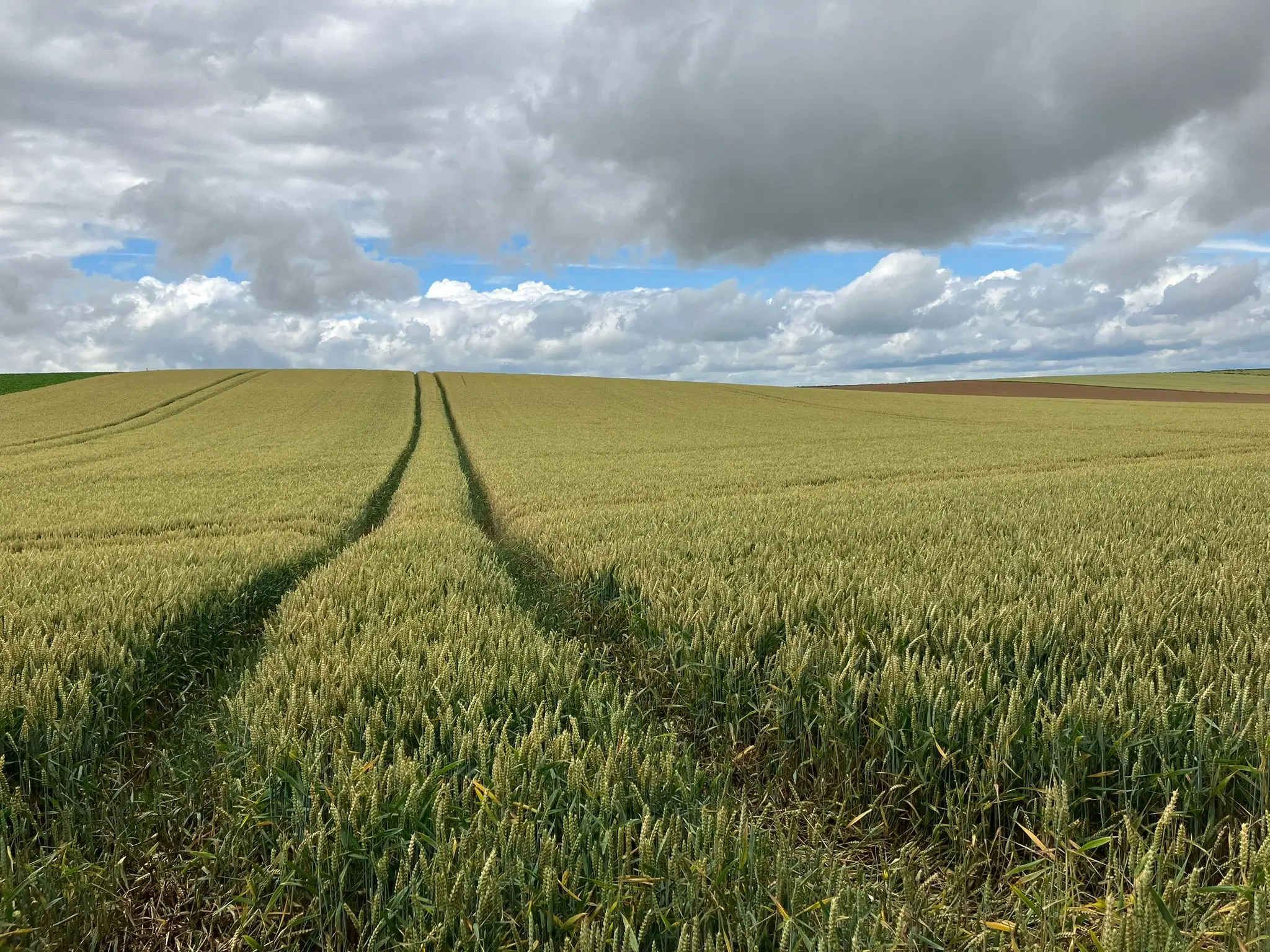 Wandeling afbeelding