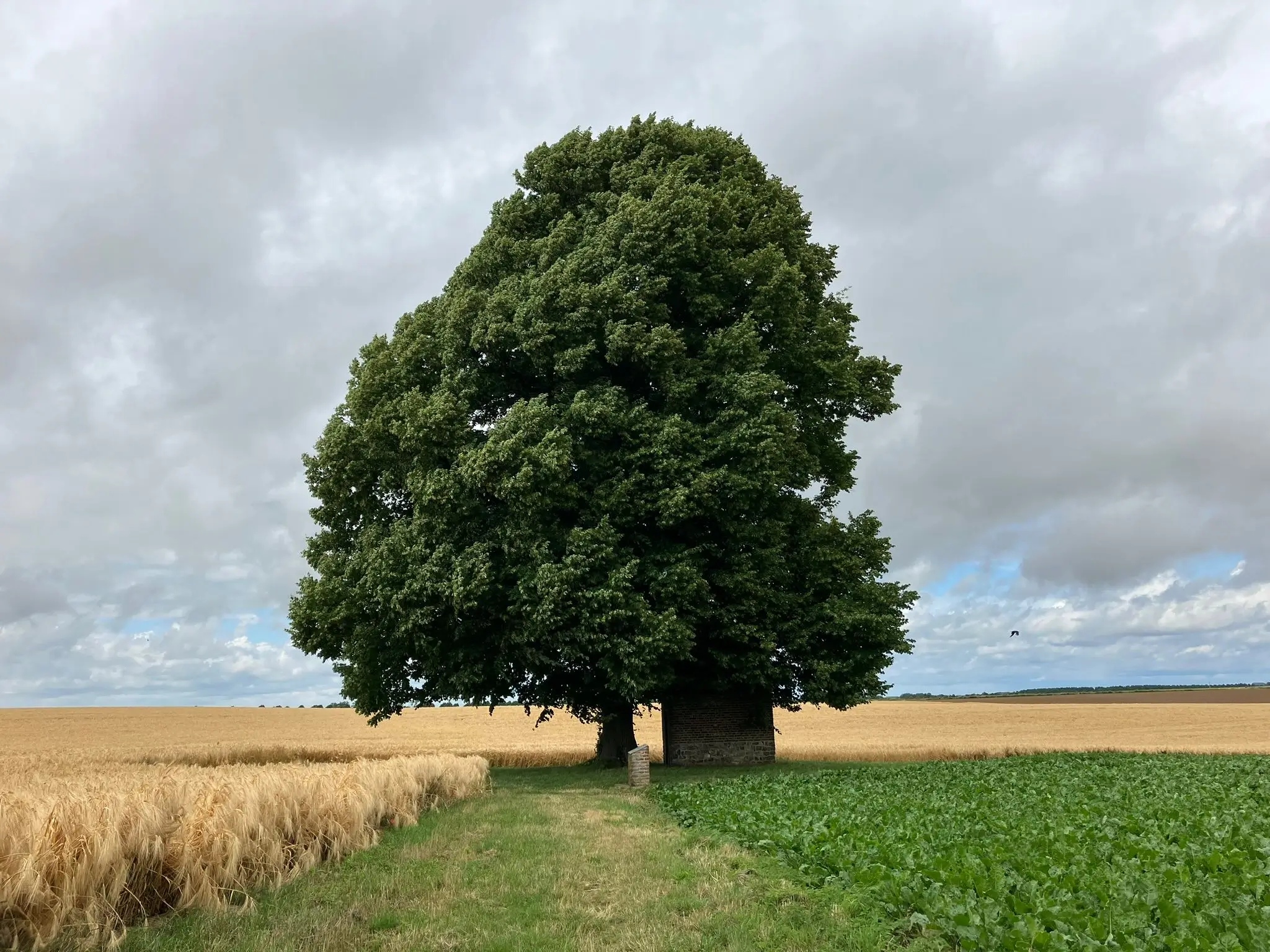 Wandeling afbeelding
