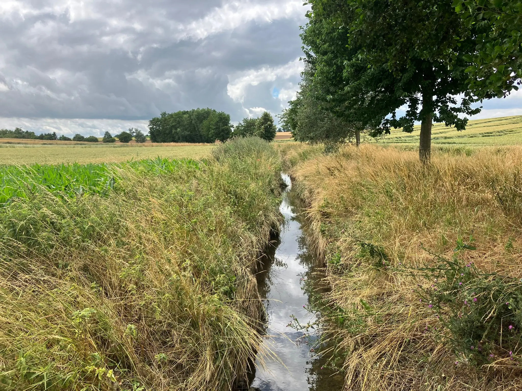 Wandeling afbeelding