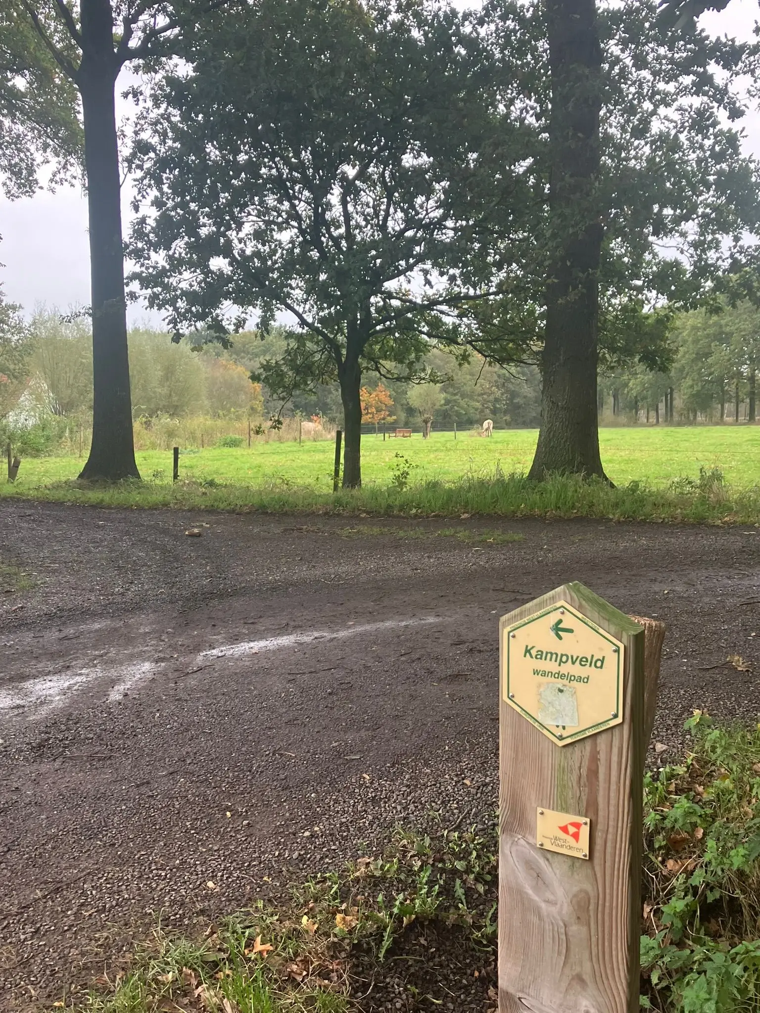 Wandeling afbeelding
