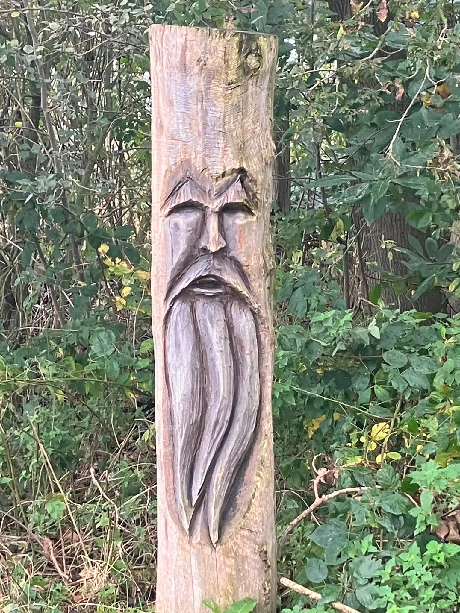Wandeling afbeelding